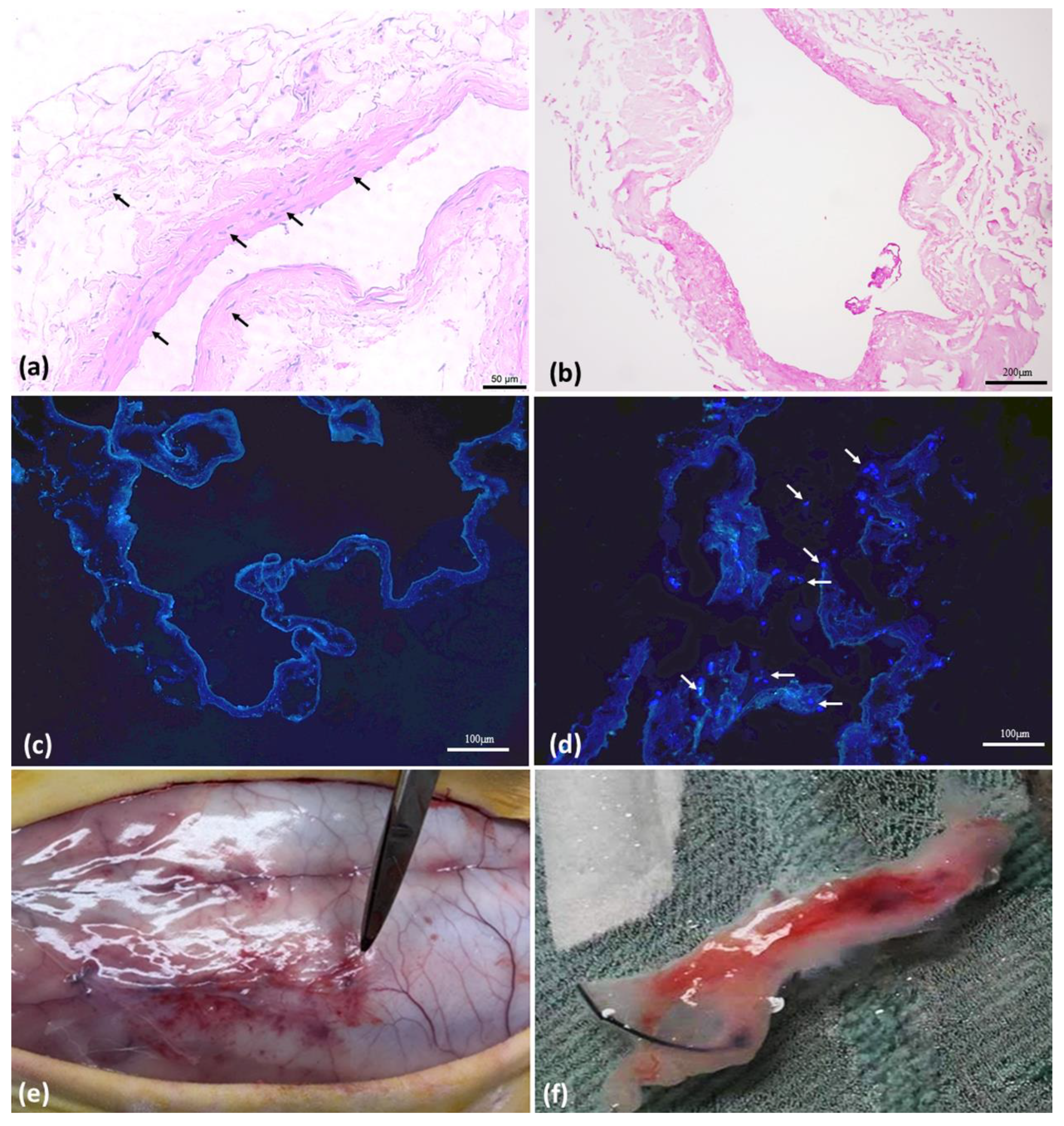 Biomolecules 12 01776 g001