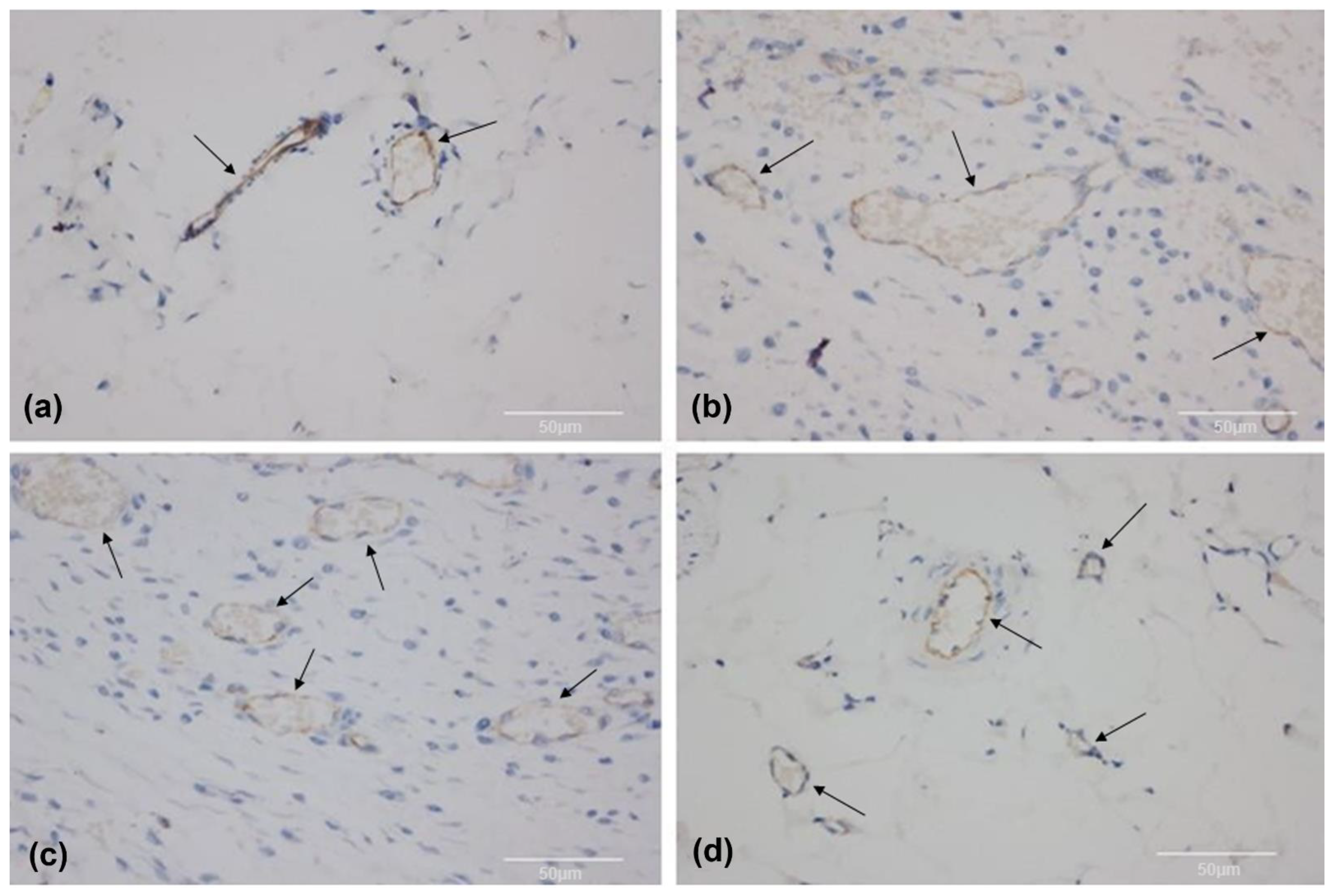 Biomolecules 12 01776 g006