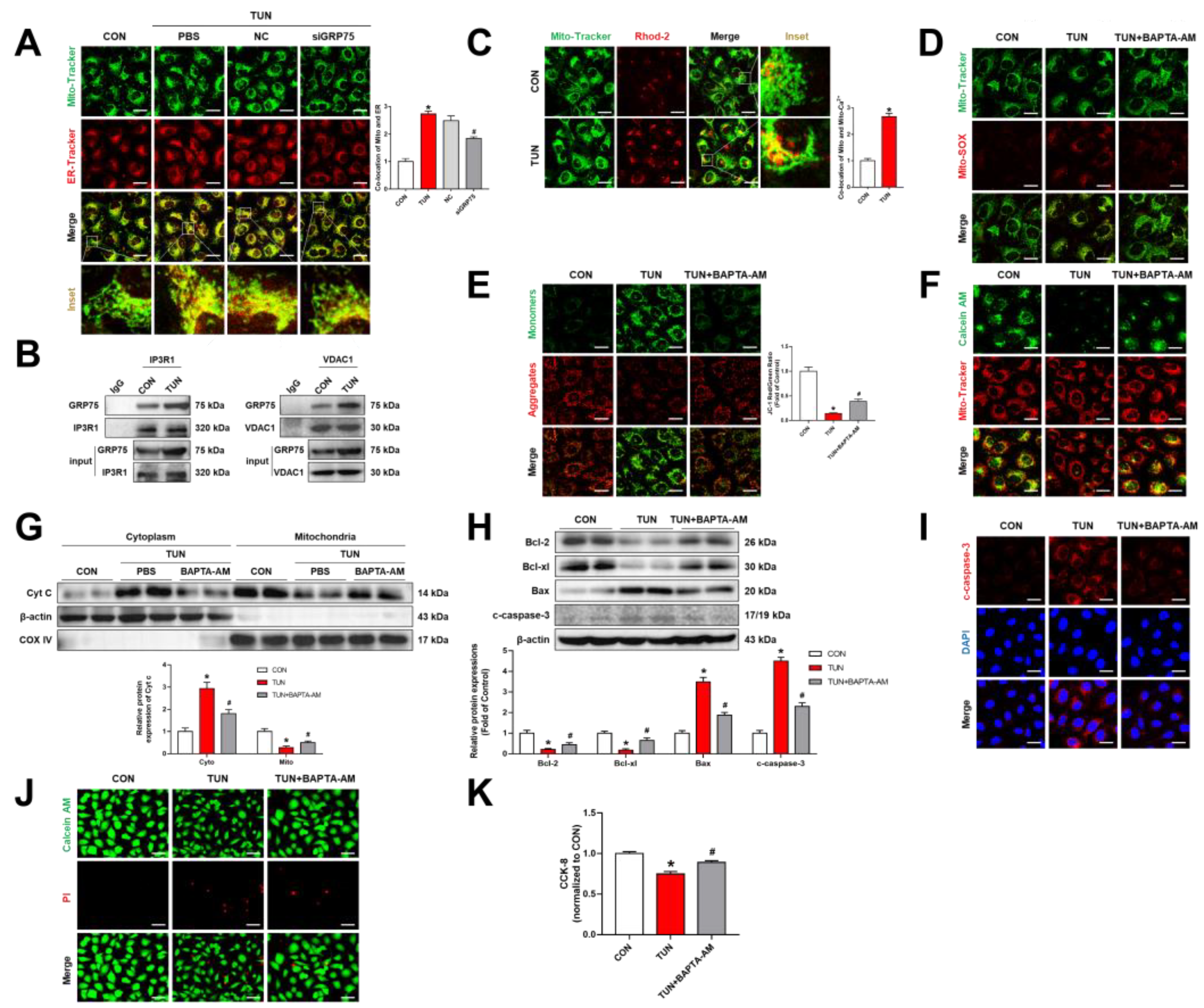 Biomolecules 12 01778 g005