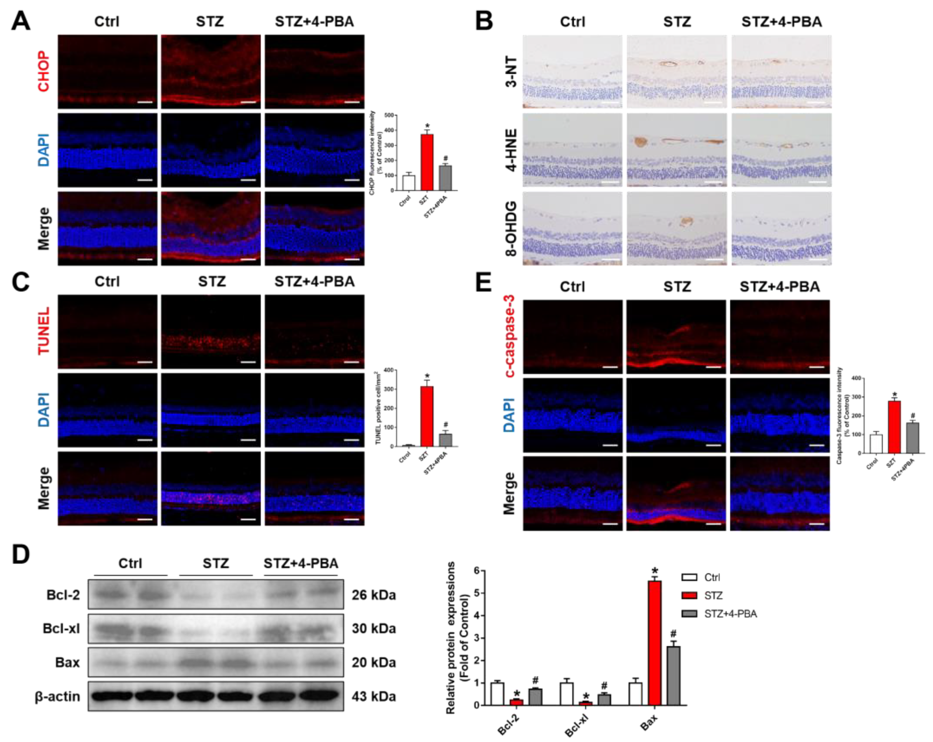Biomolecules 12 01778 g007