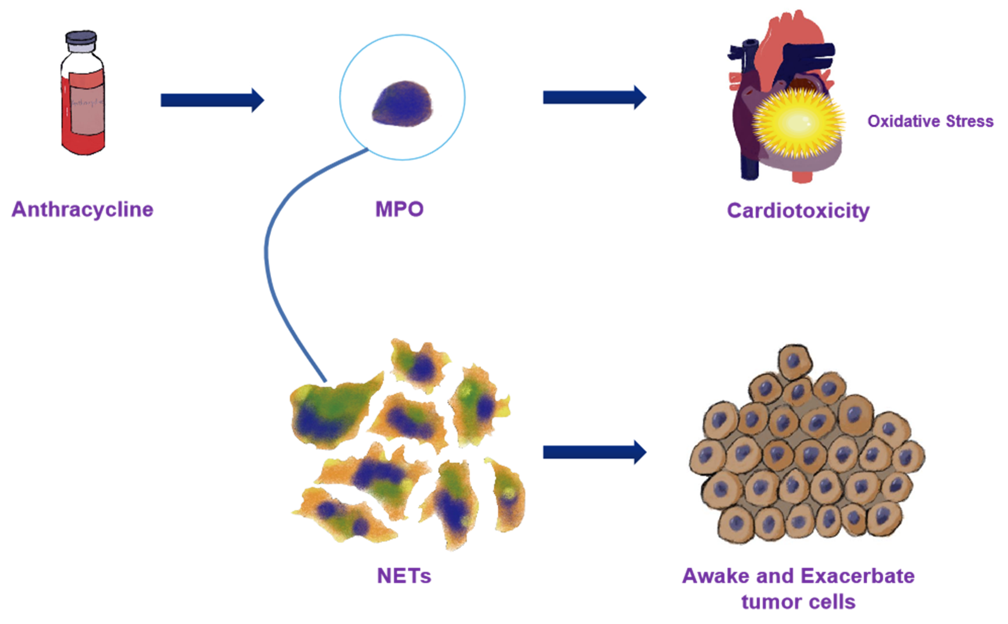 Biomolecules 12 01788 g006
