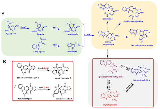 ライン Effect of Pack Chromizing on Microstructure and Tribological