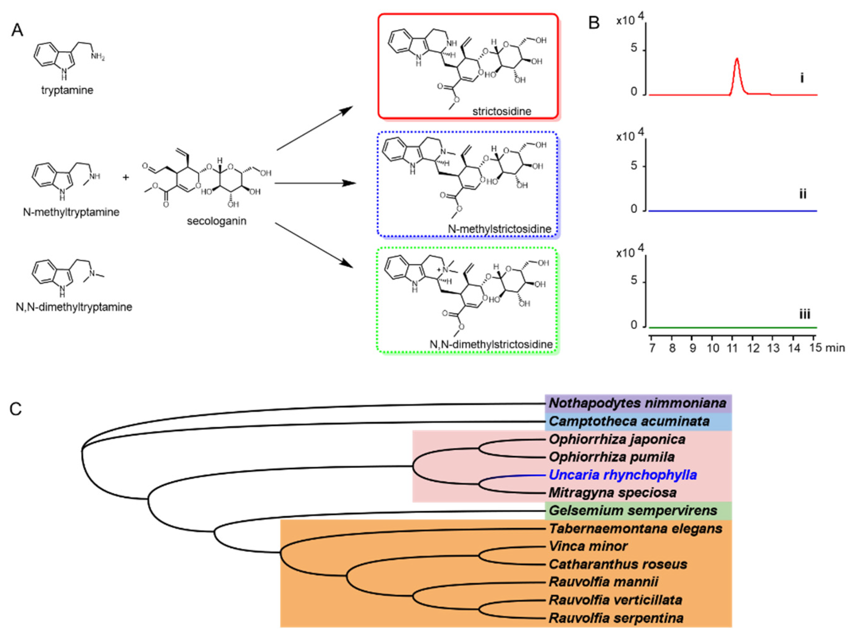 Biomolecules 12 01790 g007