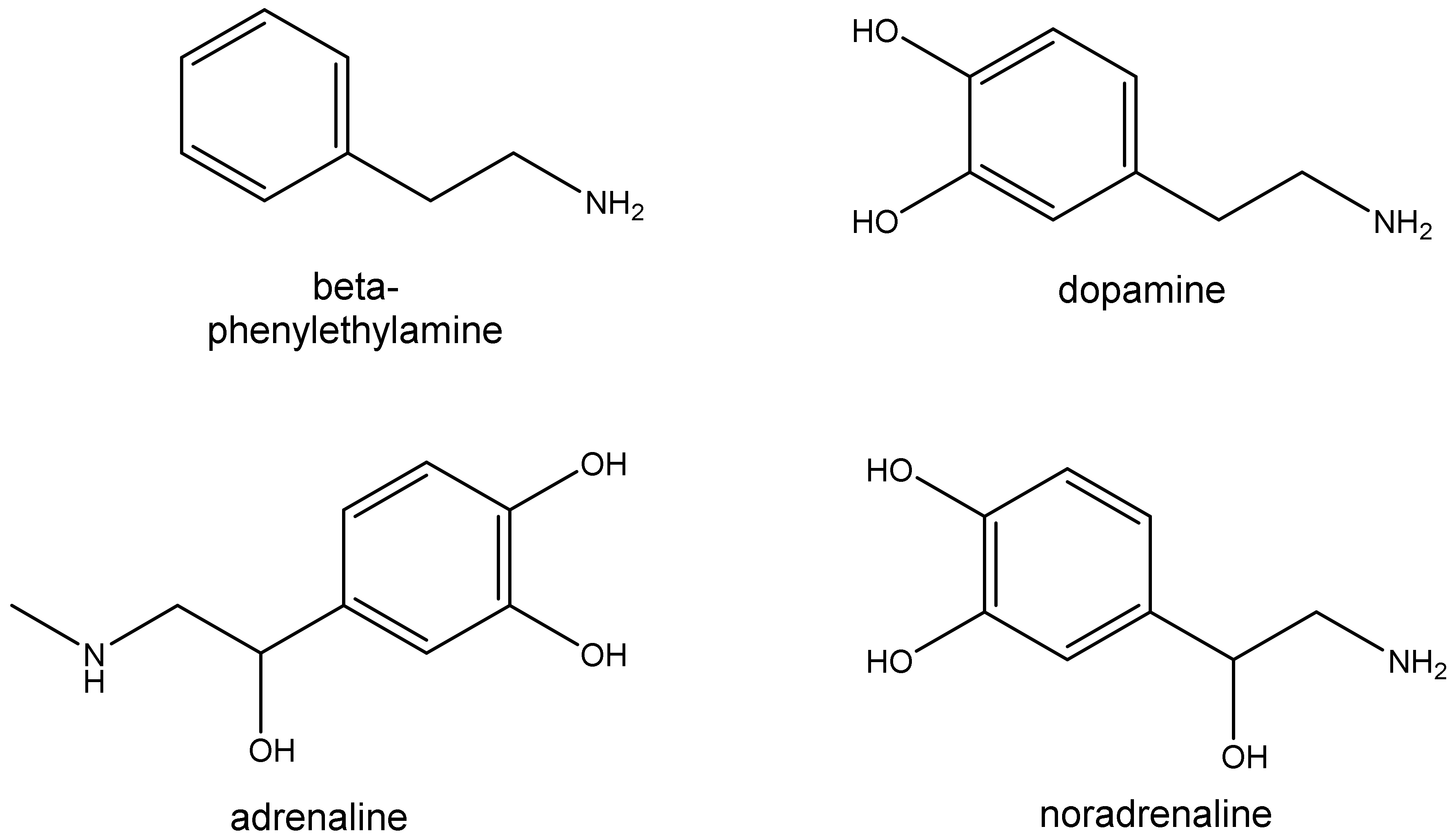 Biomolecules 12 01793 g001