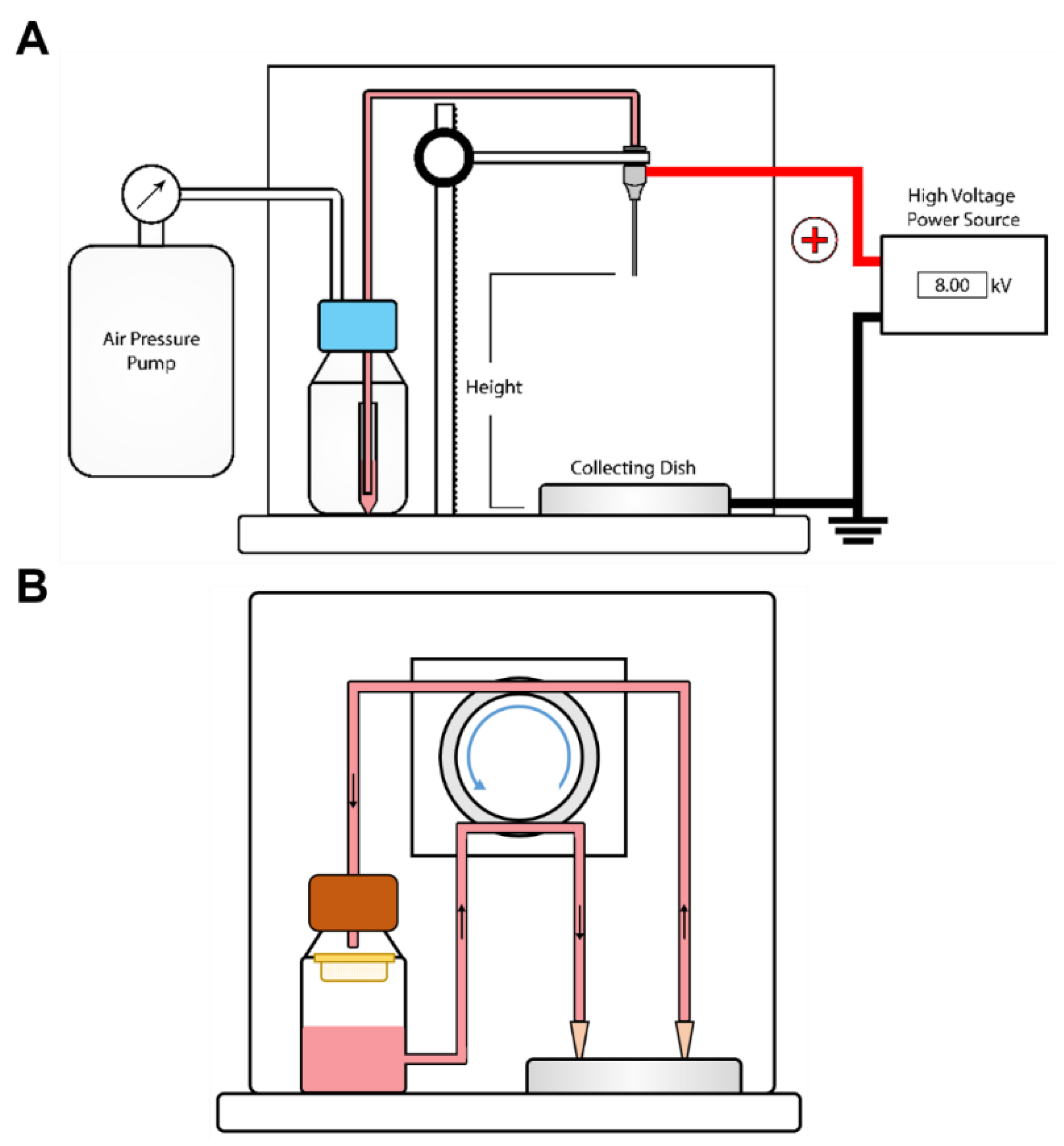 Biomolecules 12 01803 g004 Biomolecules 12 01803 g004