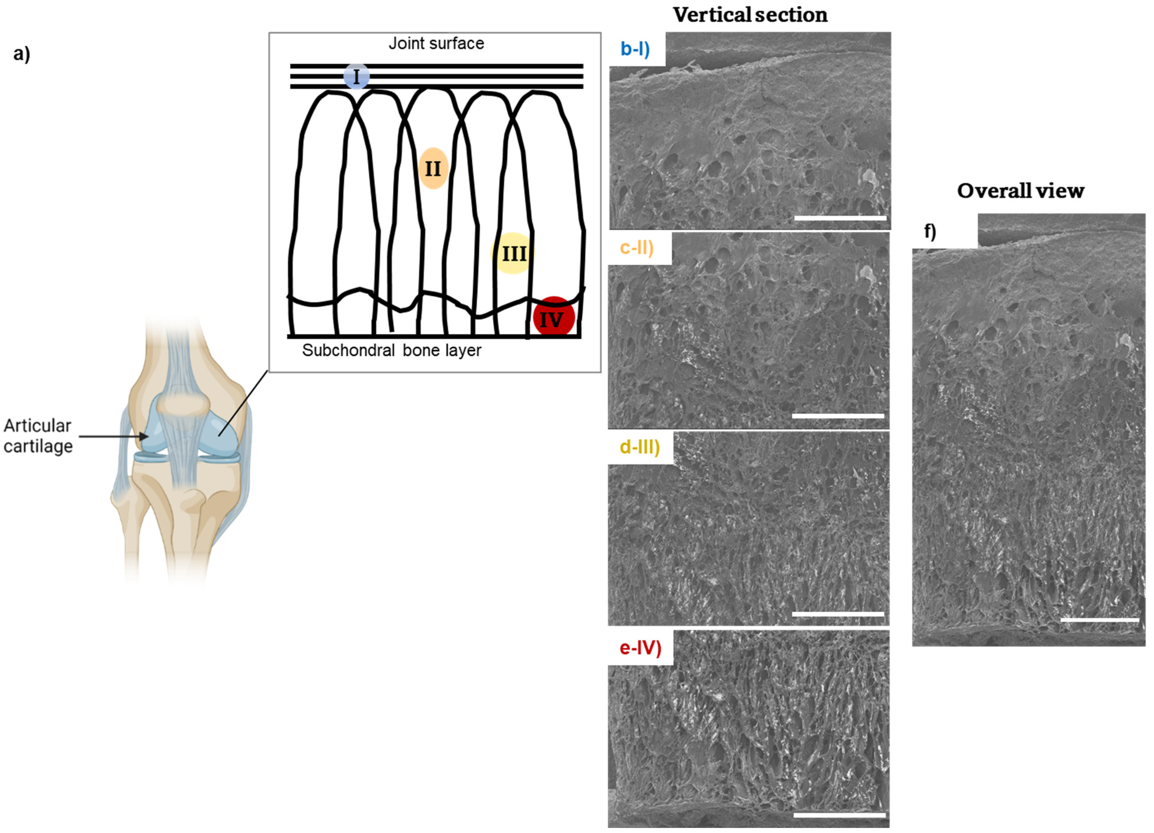Biomolecules 12 01809 g003