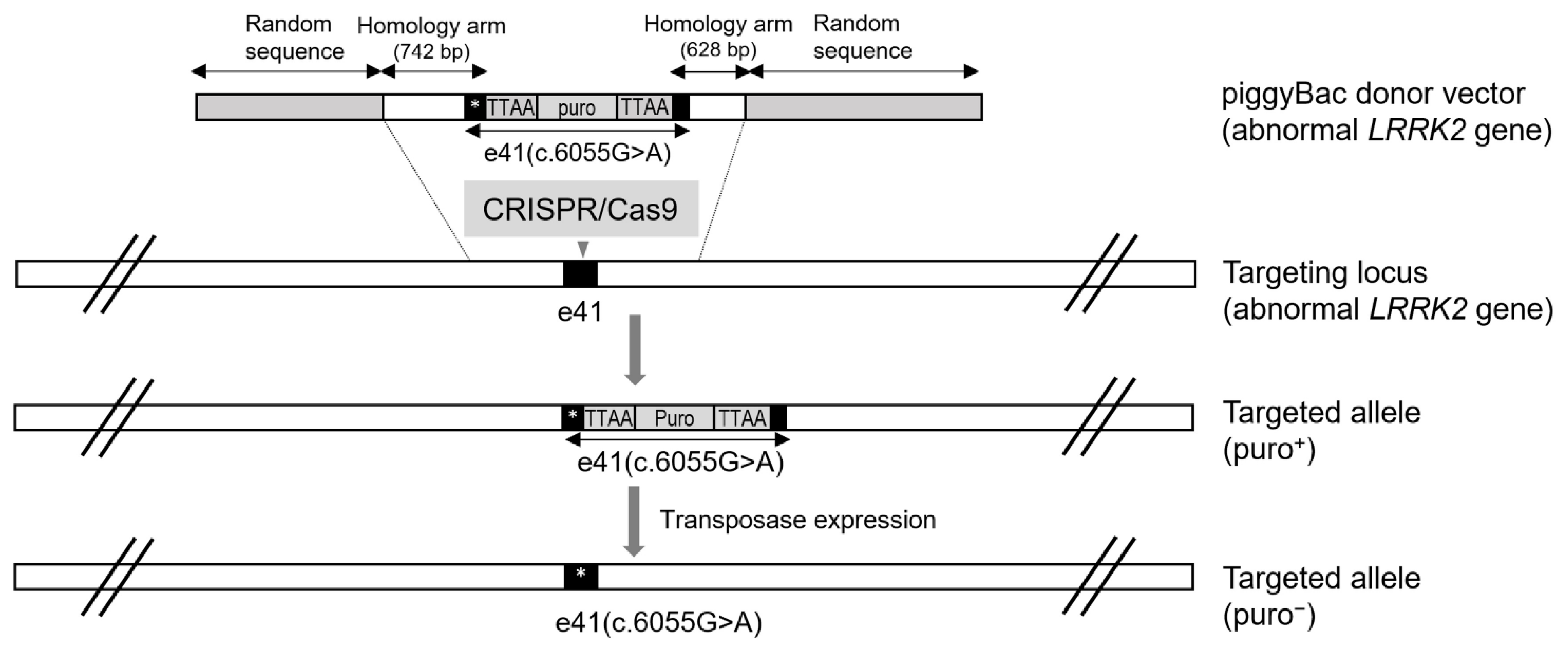Biomolecules 12 01814 g005