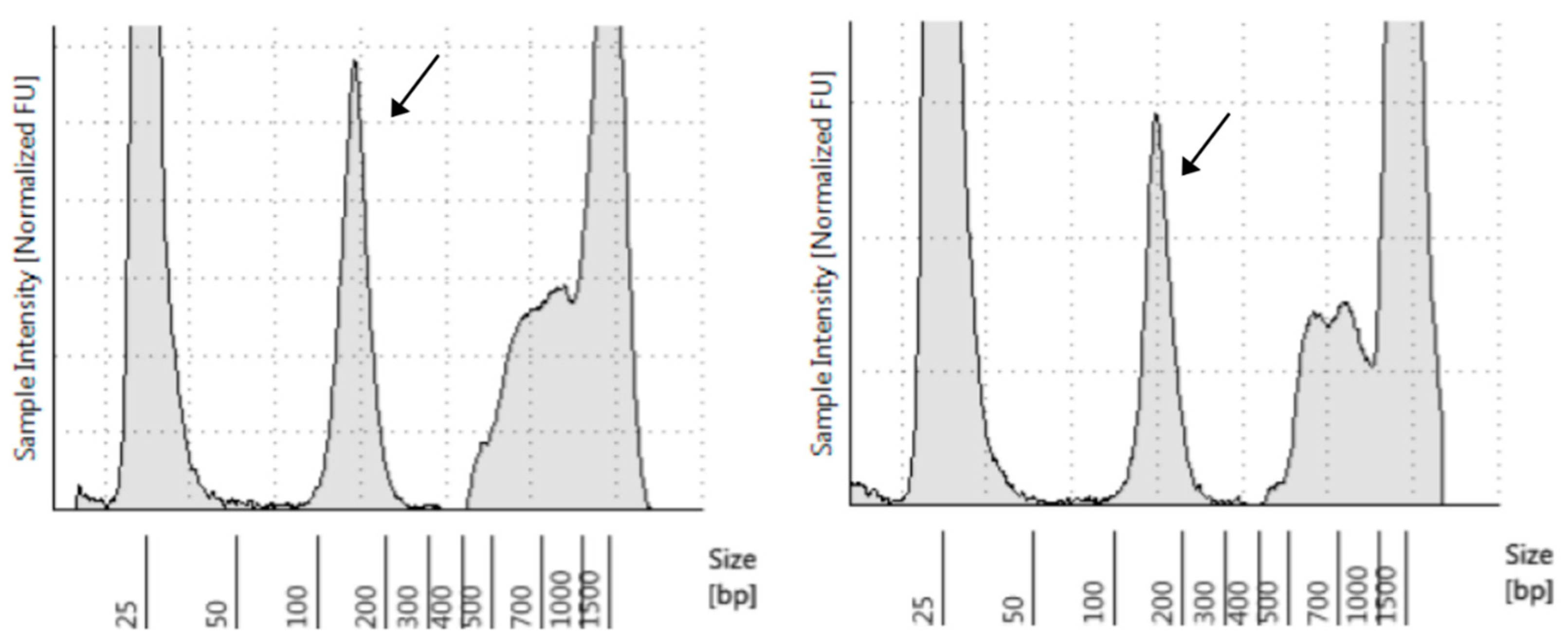 Biomolecules 12 01818 g001 Biomolecules 12 01818 g001