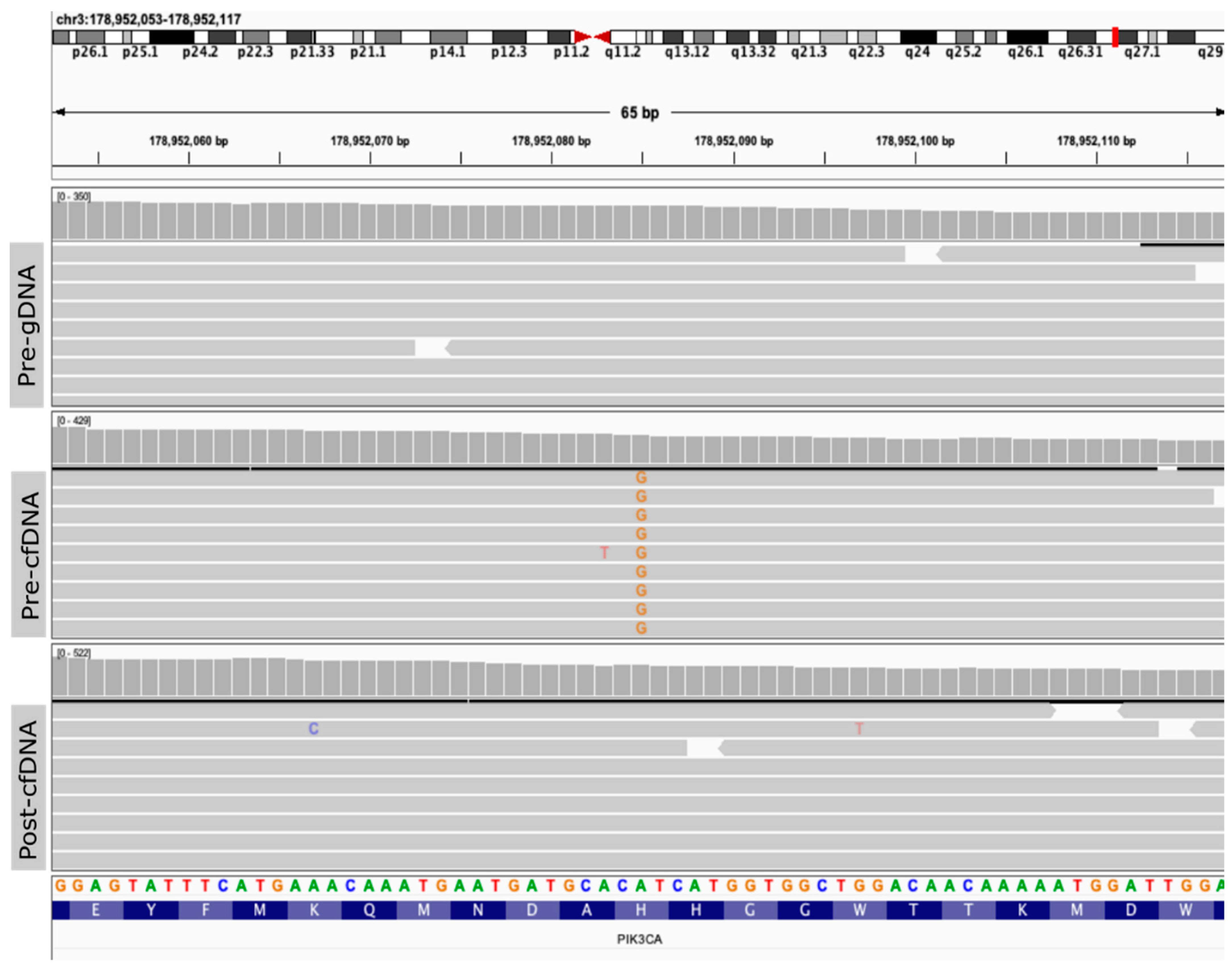 Biomolecules 12 01818 g002 Biomolecules 12 01818 g002
