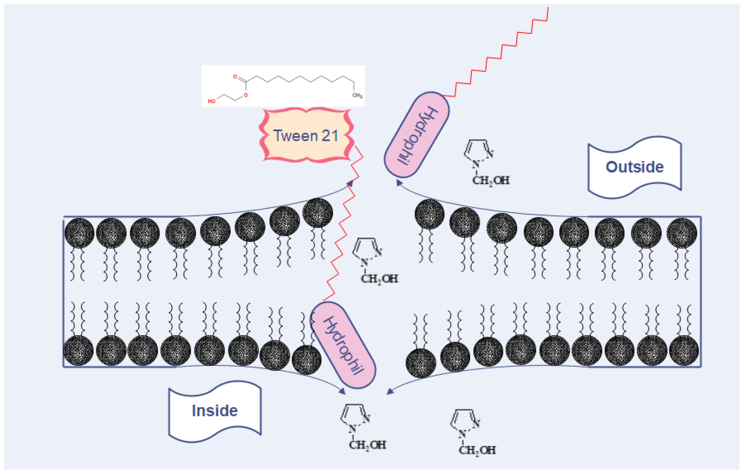 Biomolecules 12 01819 g010