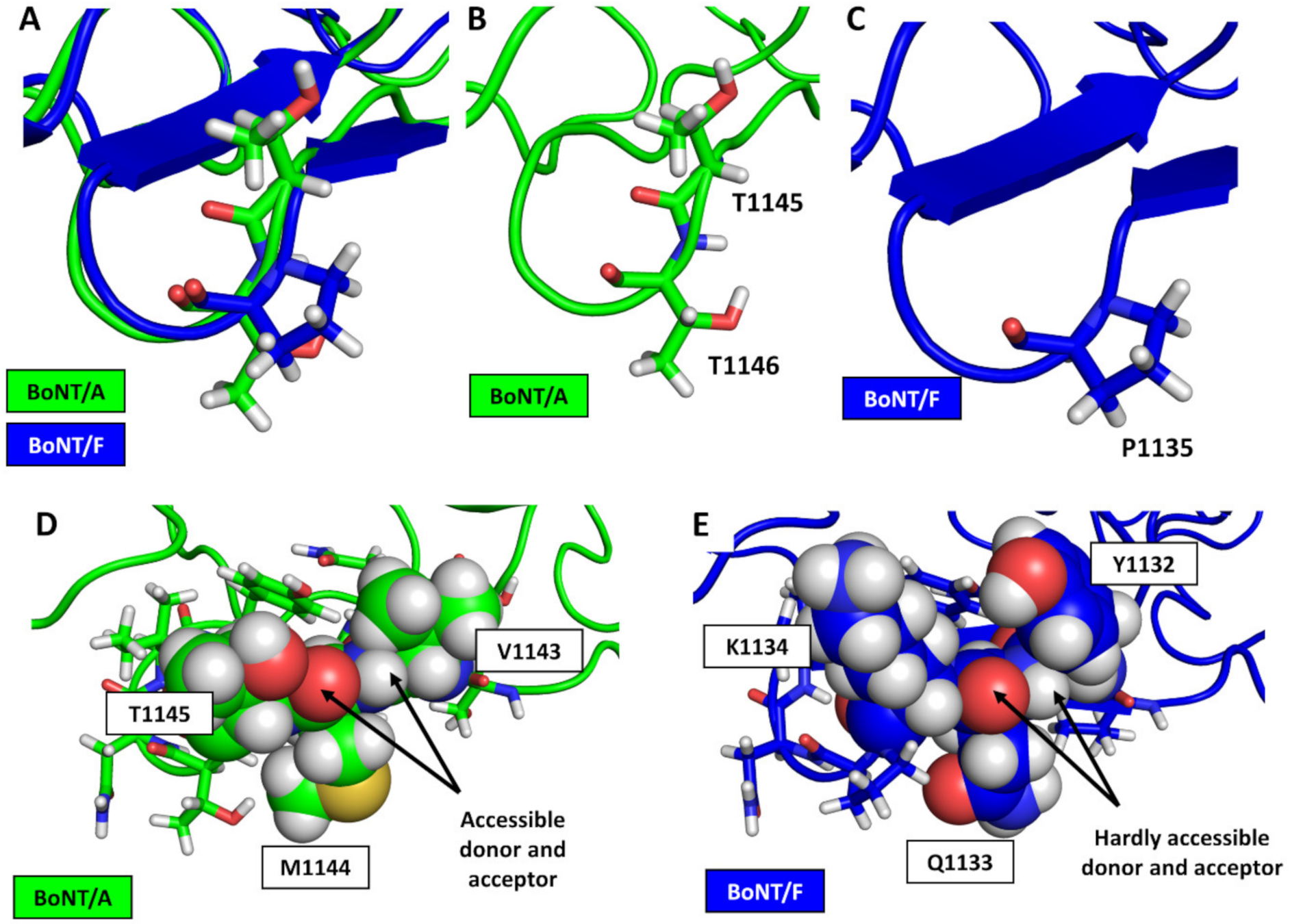Biomolecules 12 01821 g004