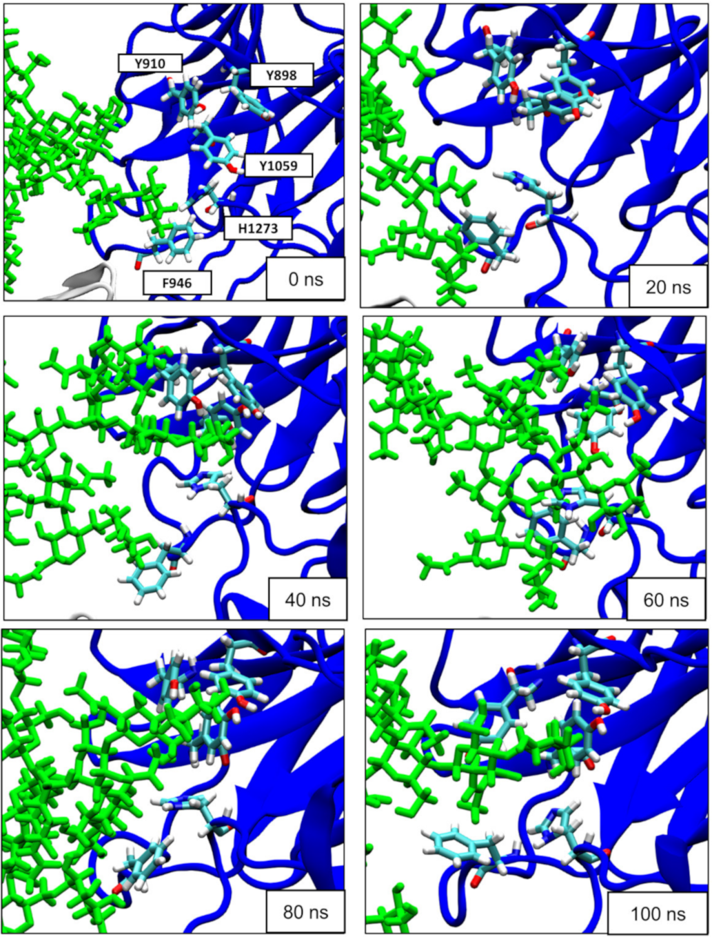 Biomolecules 12 01821 g005