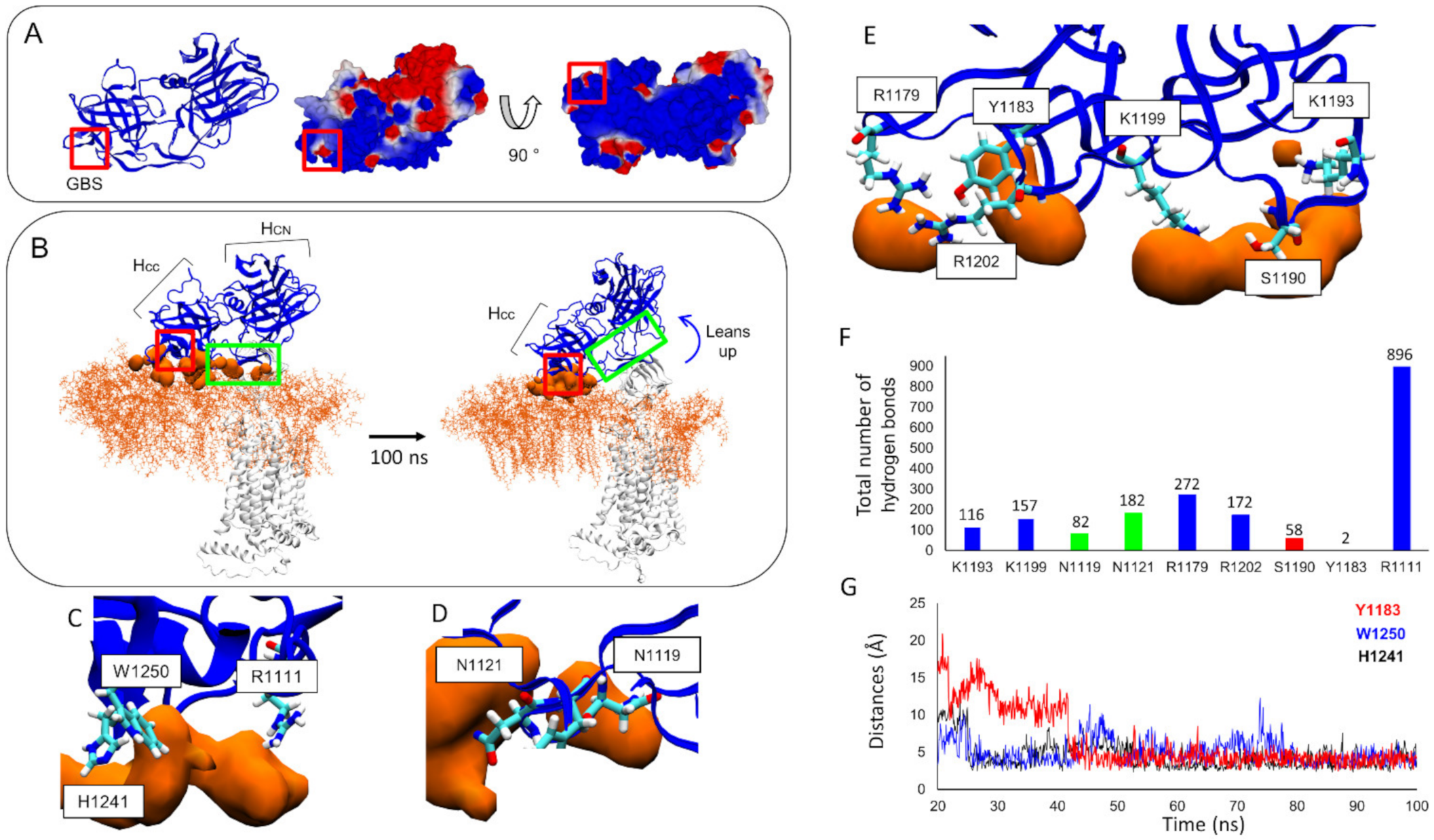 Biomolecules 12 01821 g006
