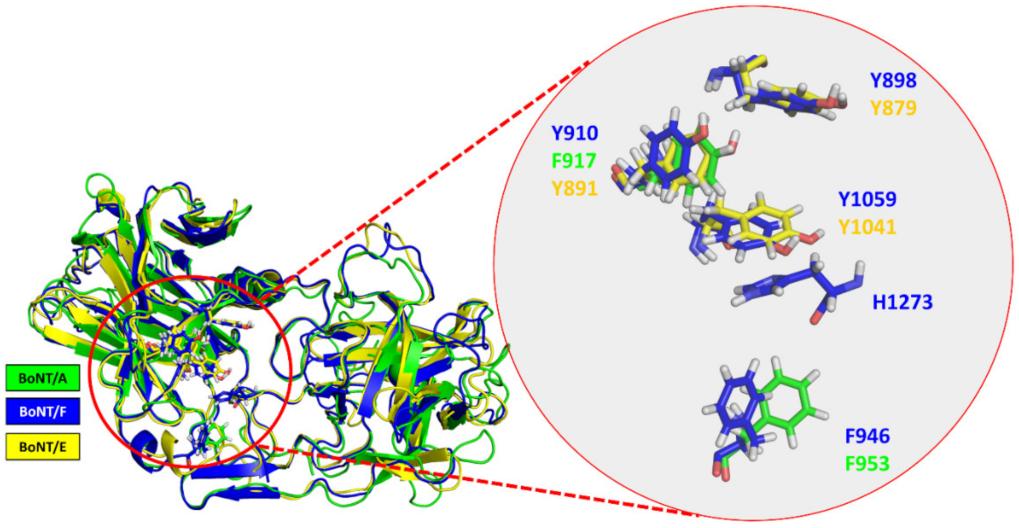 Biomolecules 12 01821 g007