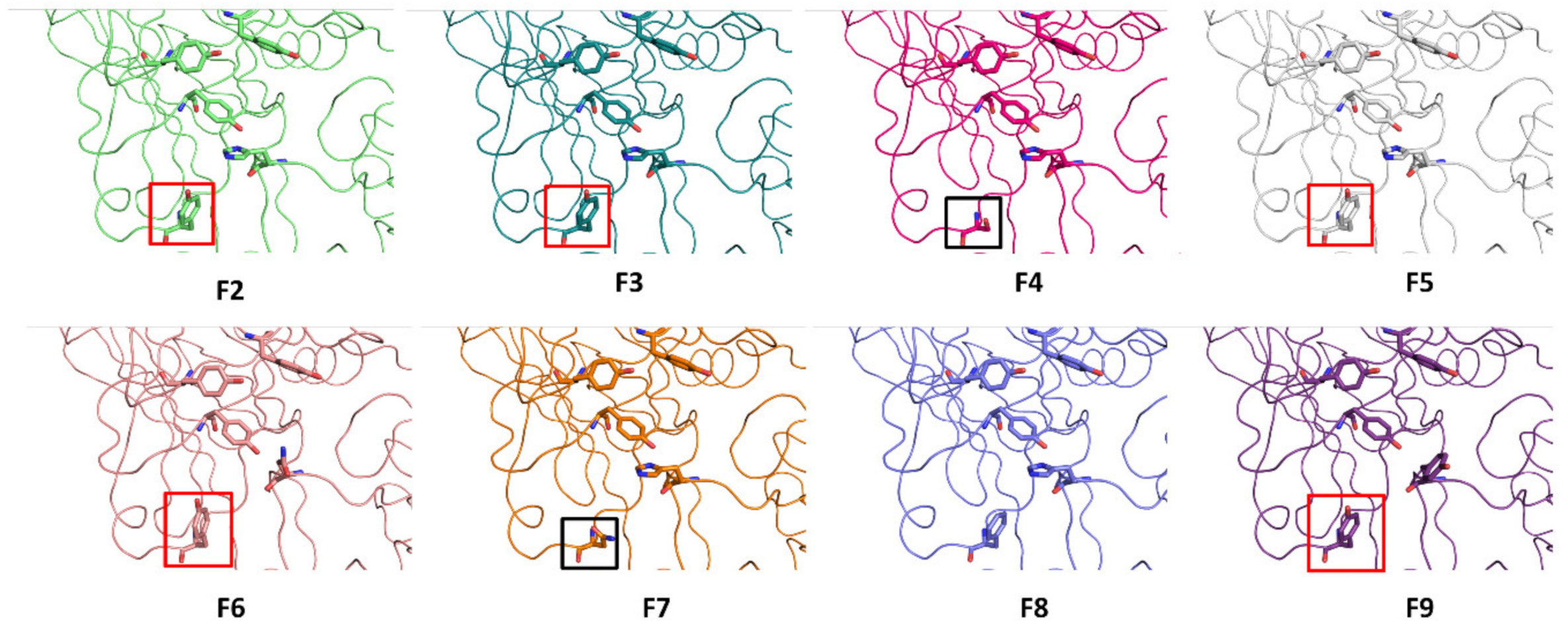 Biomolecules 12 01821 g008