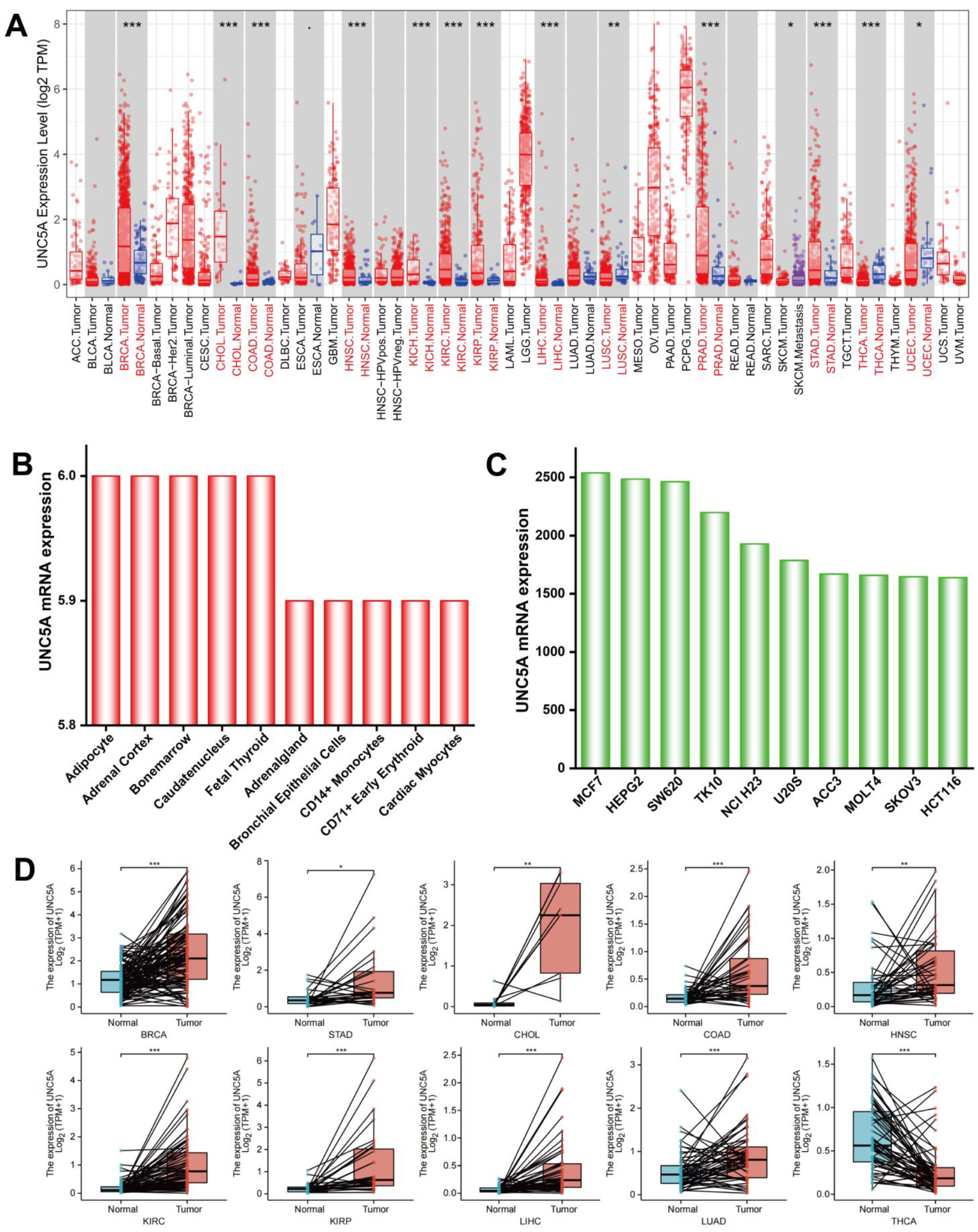 Biomolecules 12 01826 g001 Biomolecules 12 01826 g001