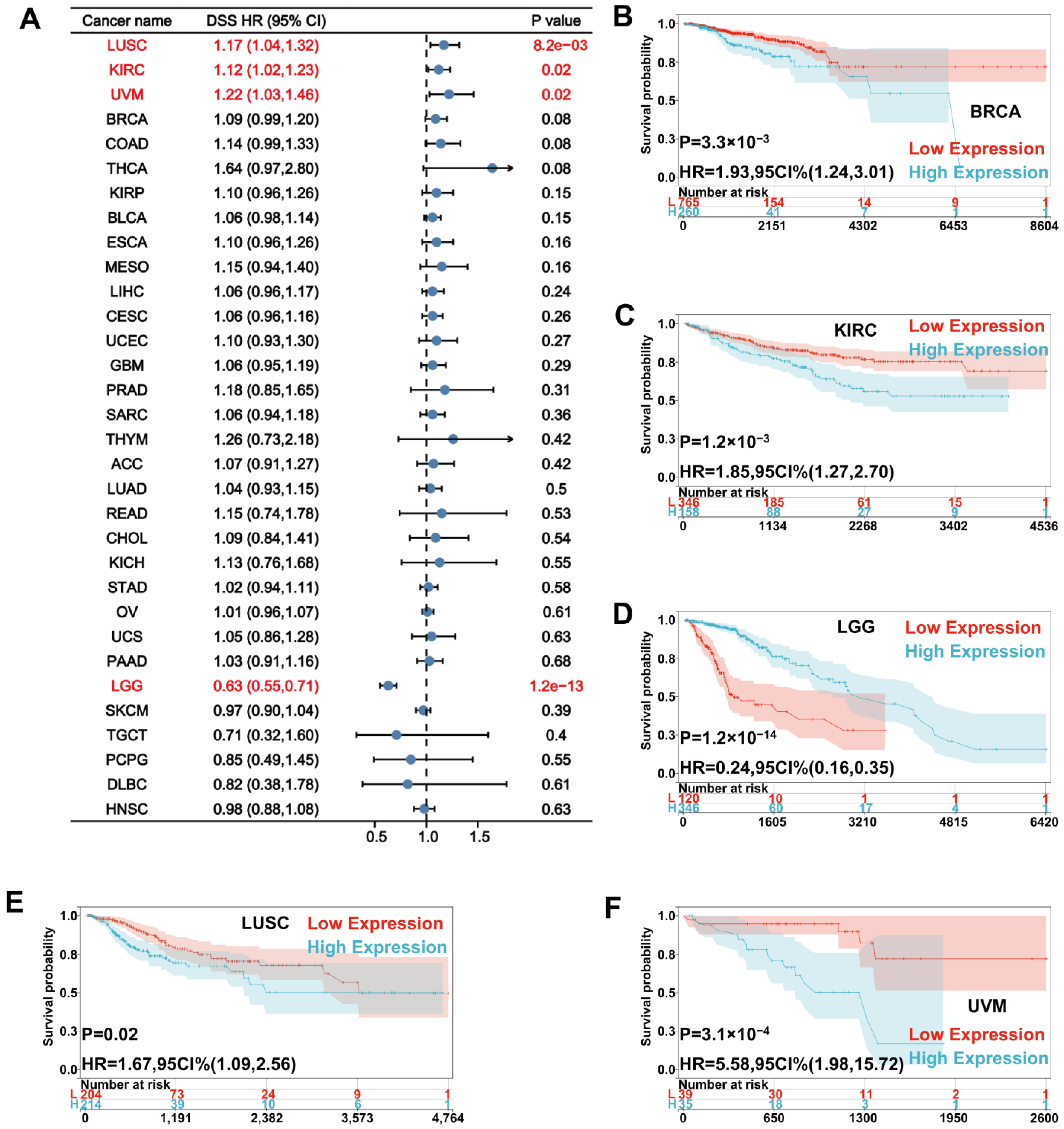 Biomolecules 12 01826 g004 Biomolecules 12 01826 g004