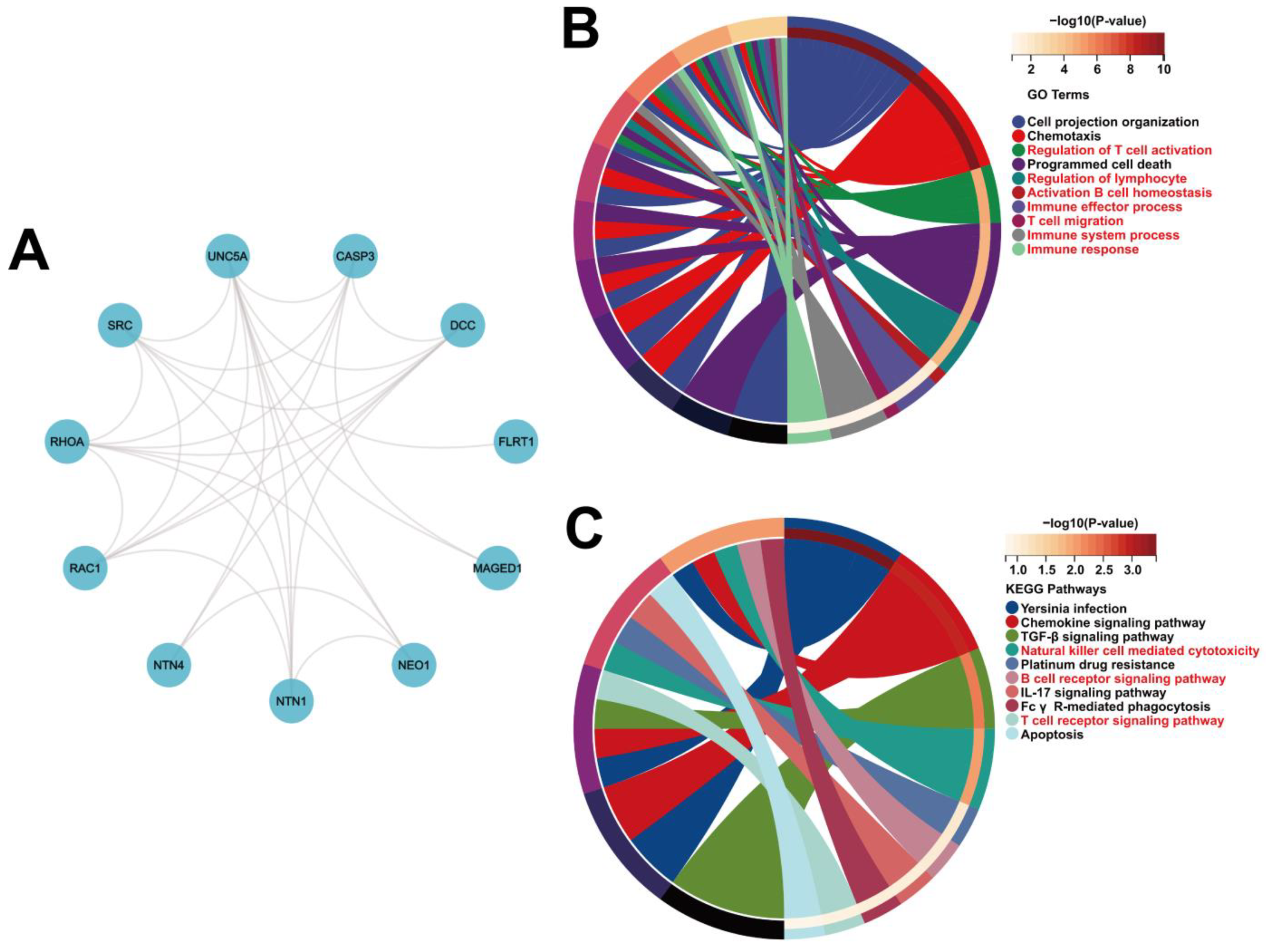 Biomolecules 12 01826 g007 Biomolecules 12 01826 g007