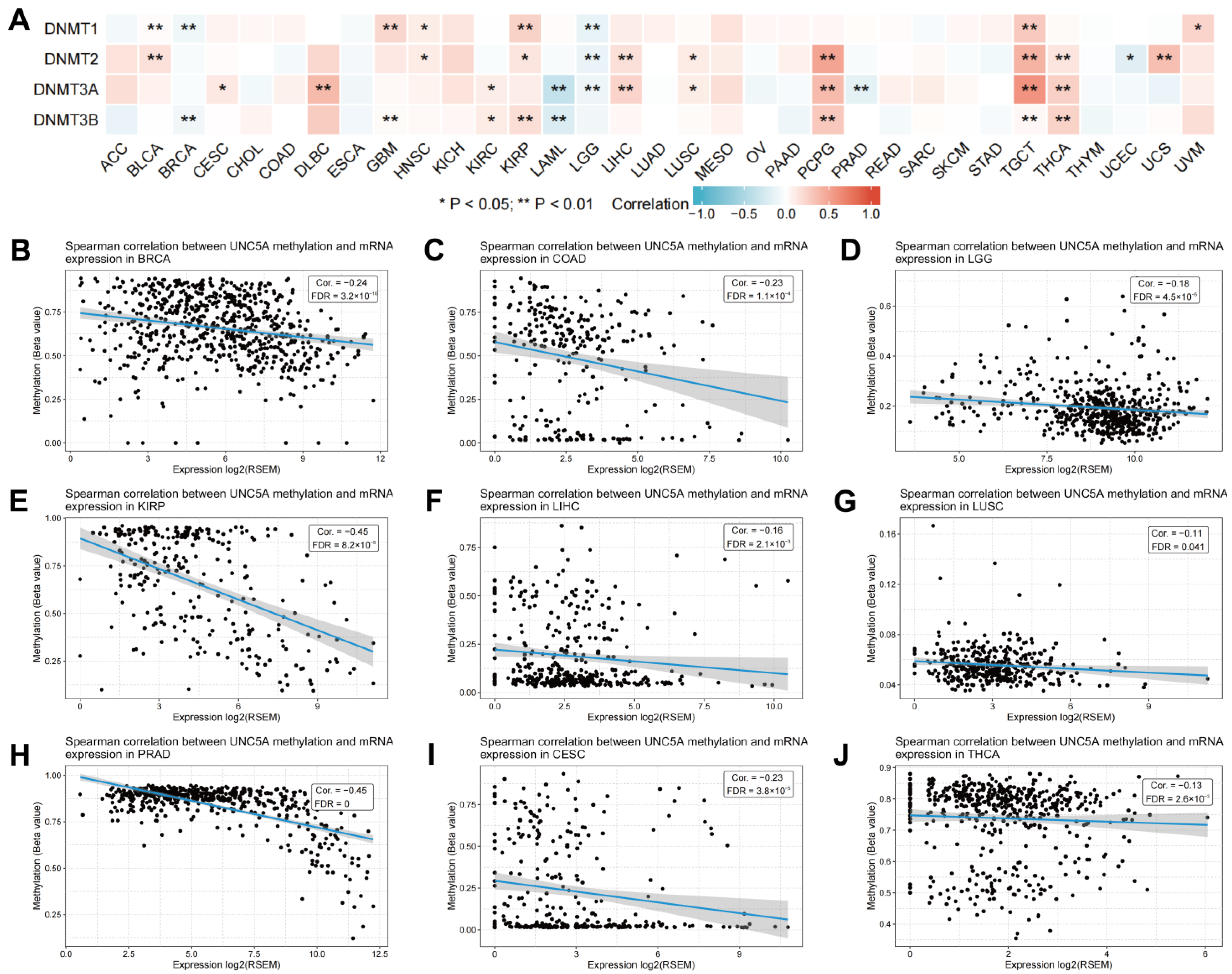 Biomolecules 12 01826 g011 Biomolecules 12 01826 g011