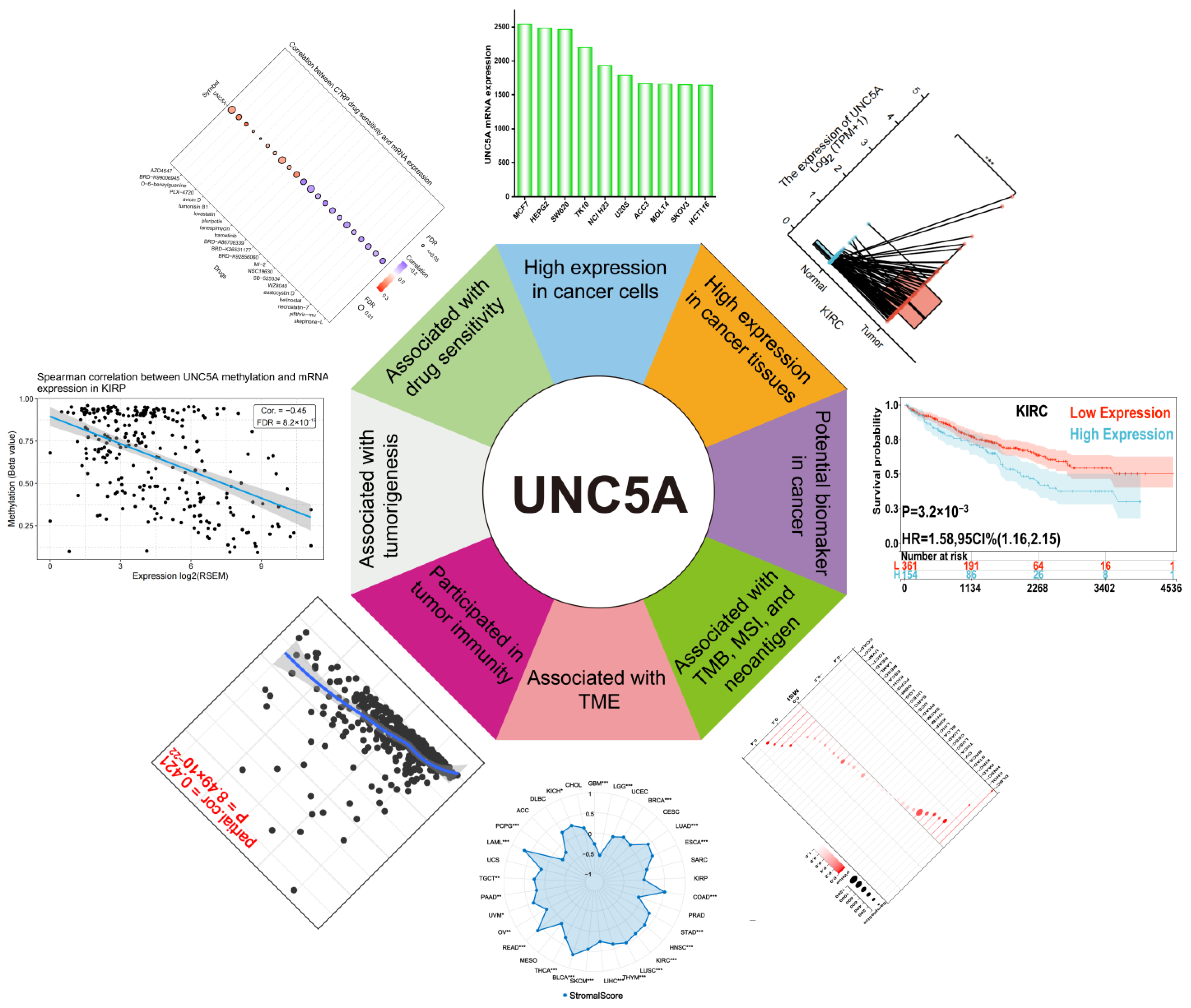 Biomolecules 12 01826 g013 Biomolecules 12 01826 g013