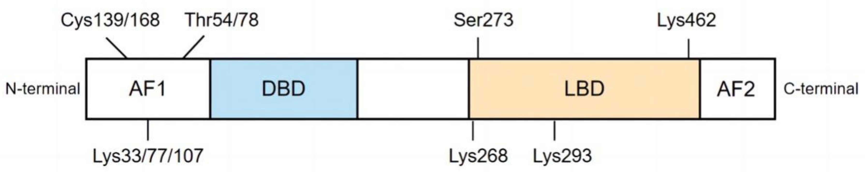 Biomolecules 12 01832 g001 Biomolecules 12 01832 g001