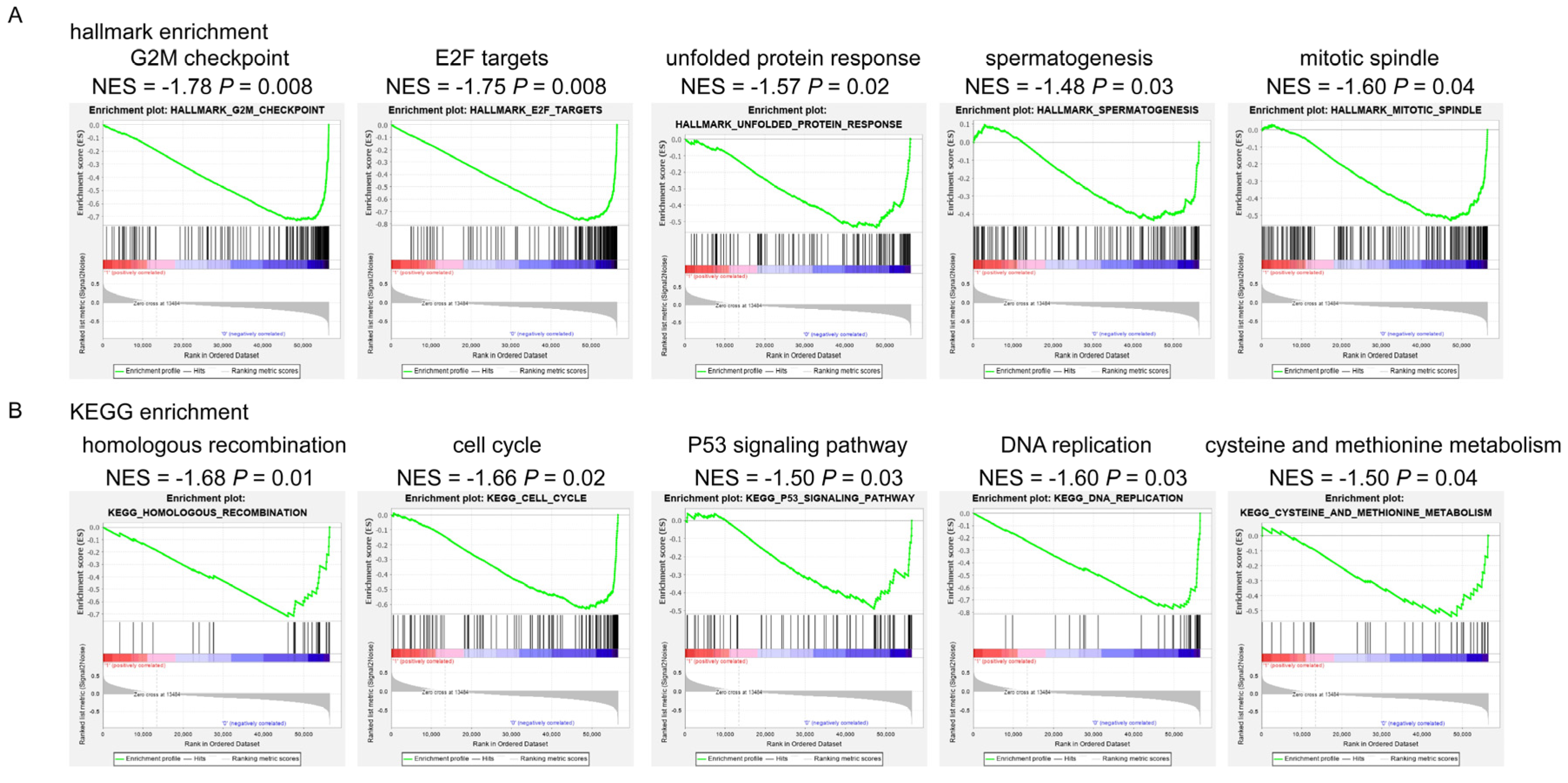 Biomolecules 12 01834 g002 Biomolecules 12 01834 g002