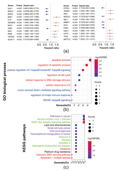 A Novel and Validated 8-Pyroptosis-Related Genes Based Risk
