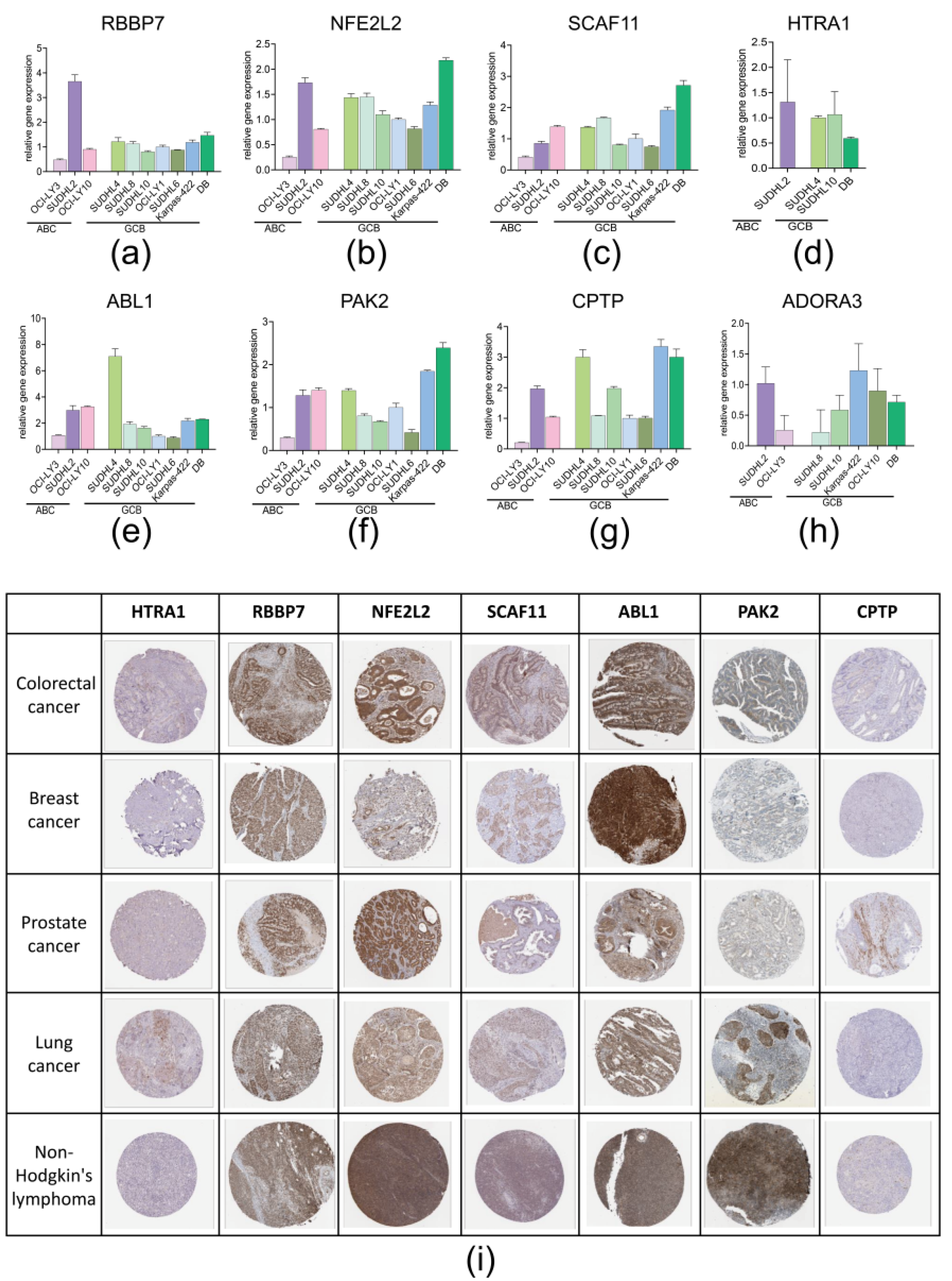 Biomolecules 12 01835 g004
