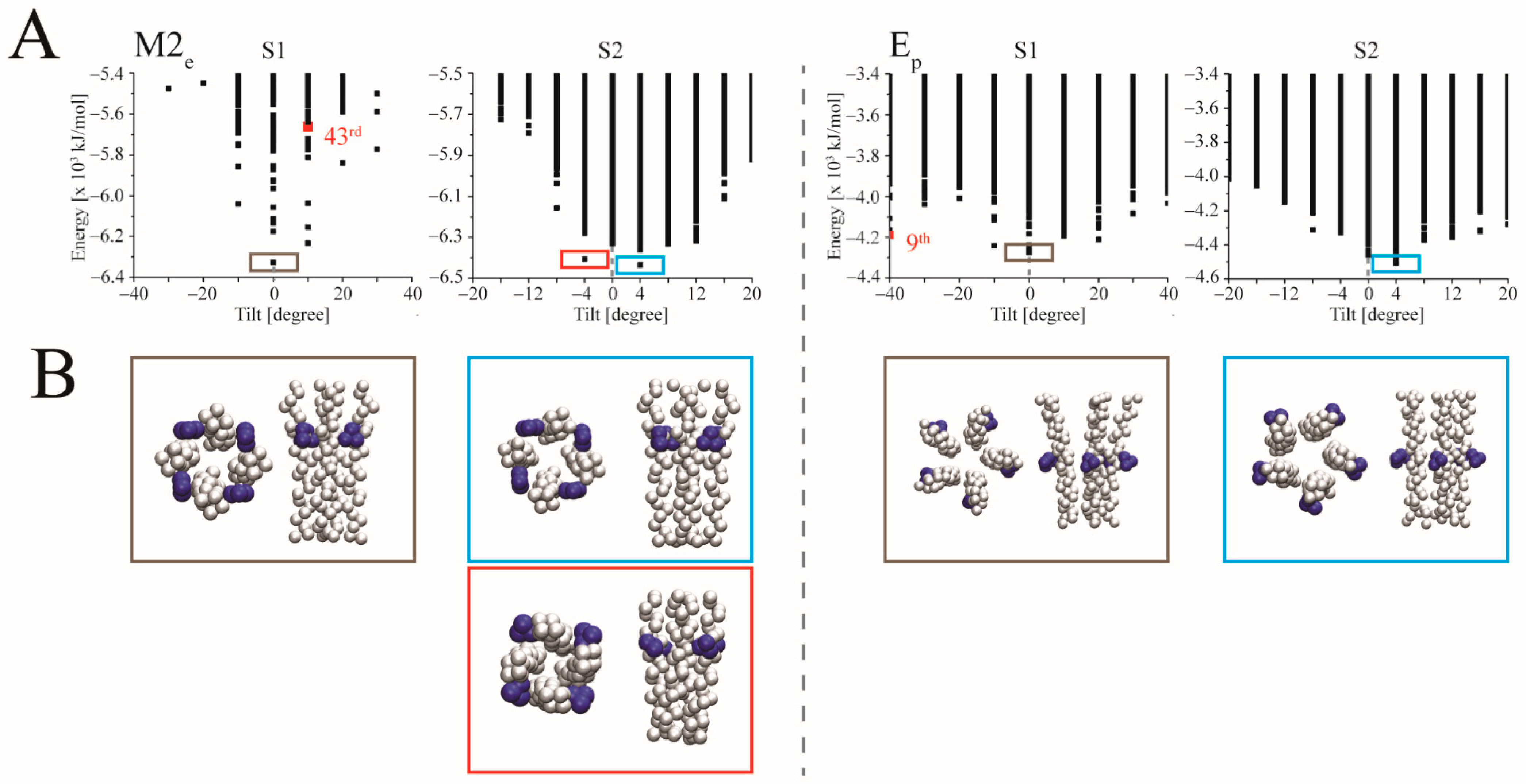 Biomolecules 12 01844 g002 Biomolecules 12 01844 g002