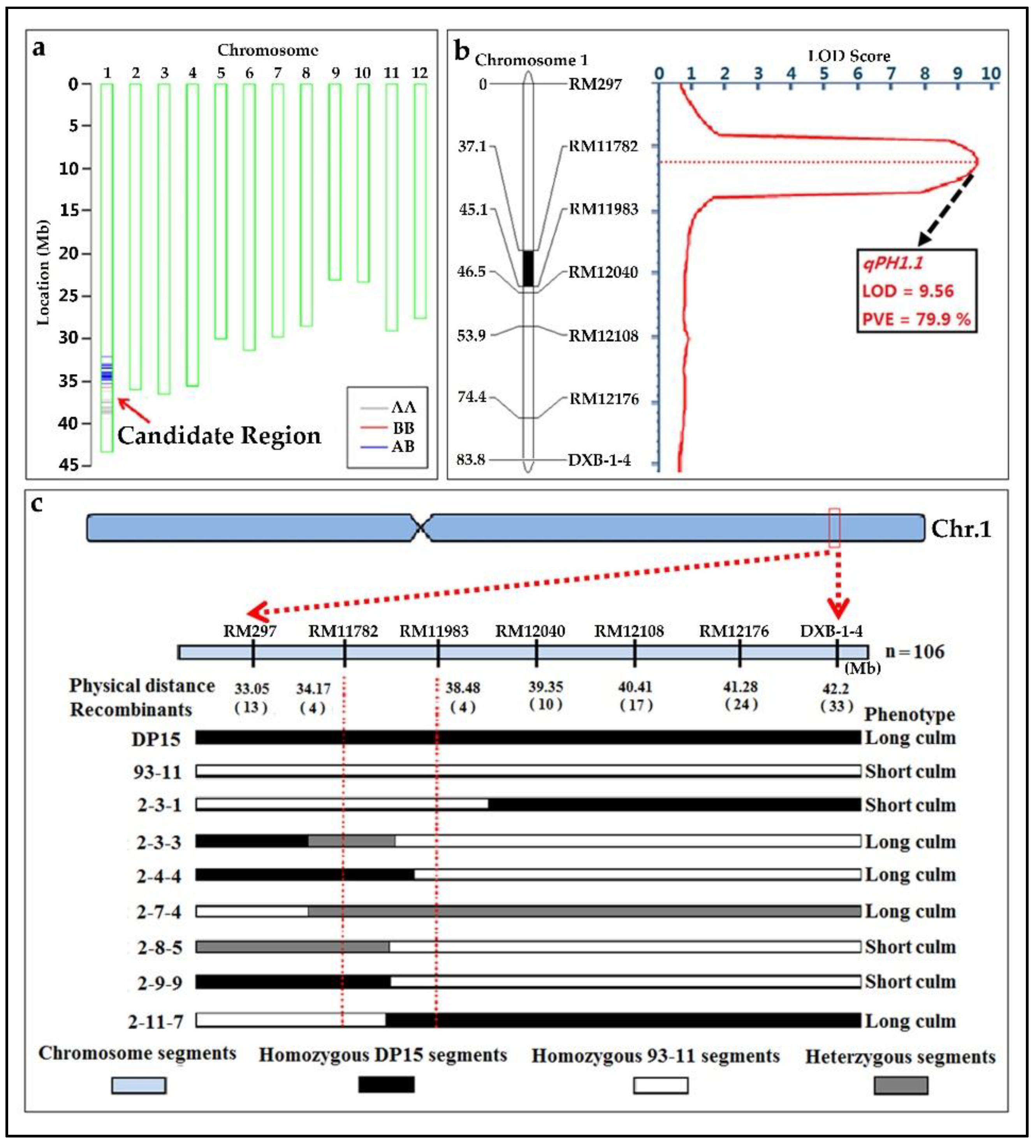 Biomolecules 12 01850 g007 Biomolecules 12 01850 g007
