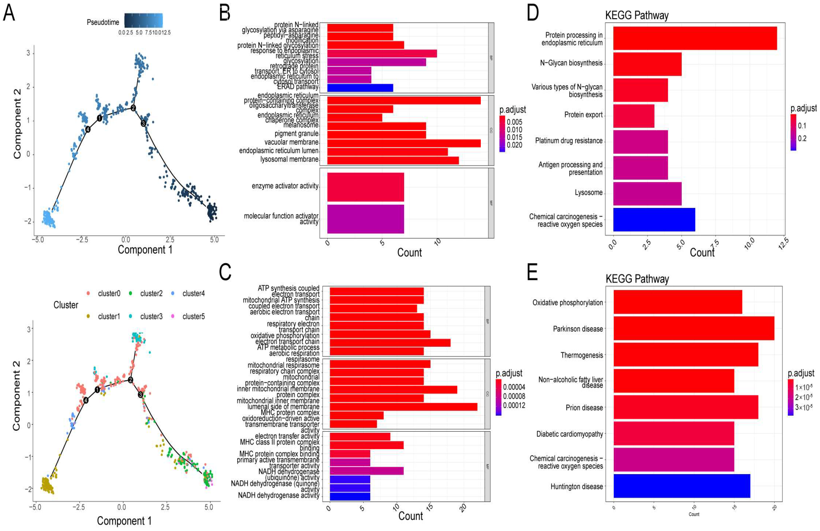 Biomolecules 12 01855 g004
