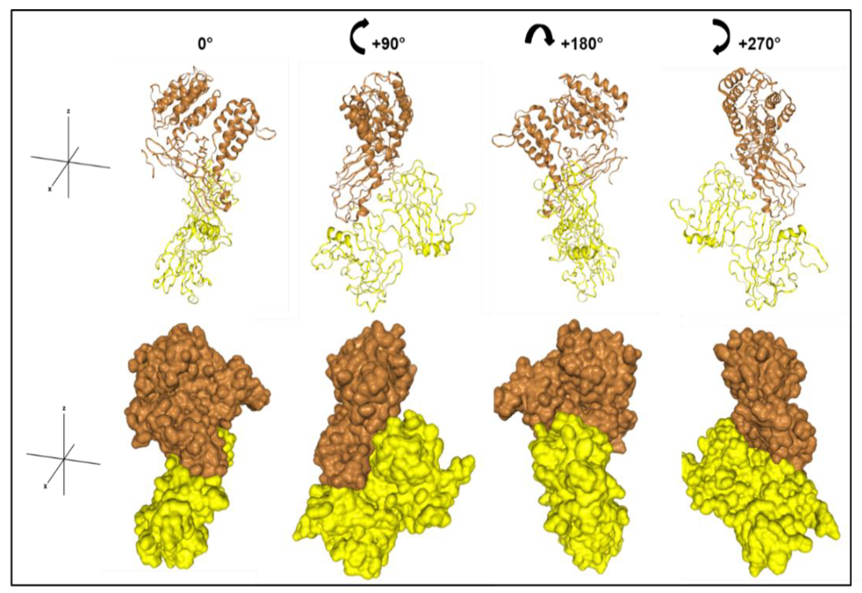 Biomolecules 12 01857 g003