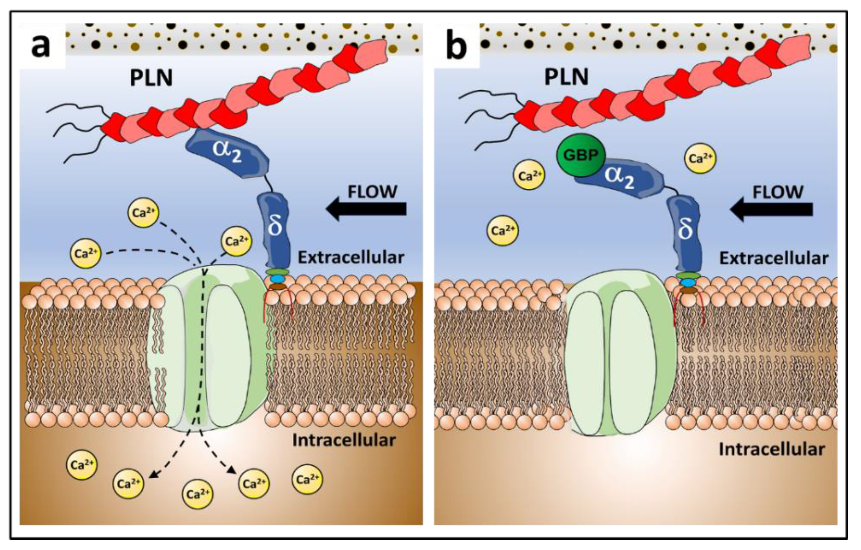 Biomolecules 12 01857 g006