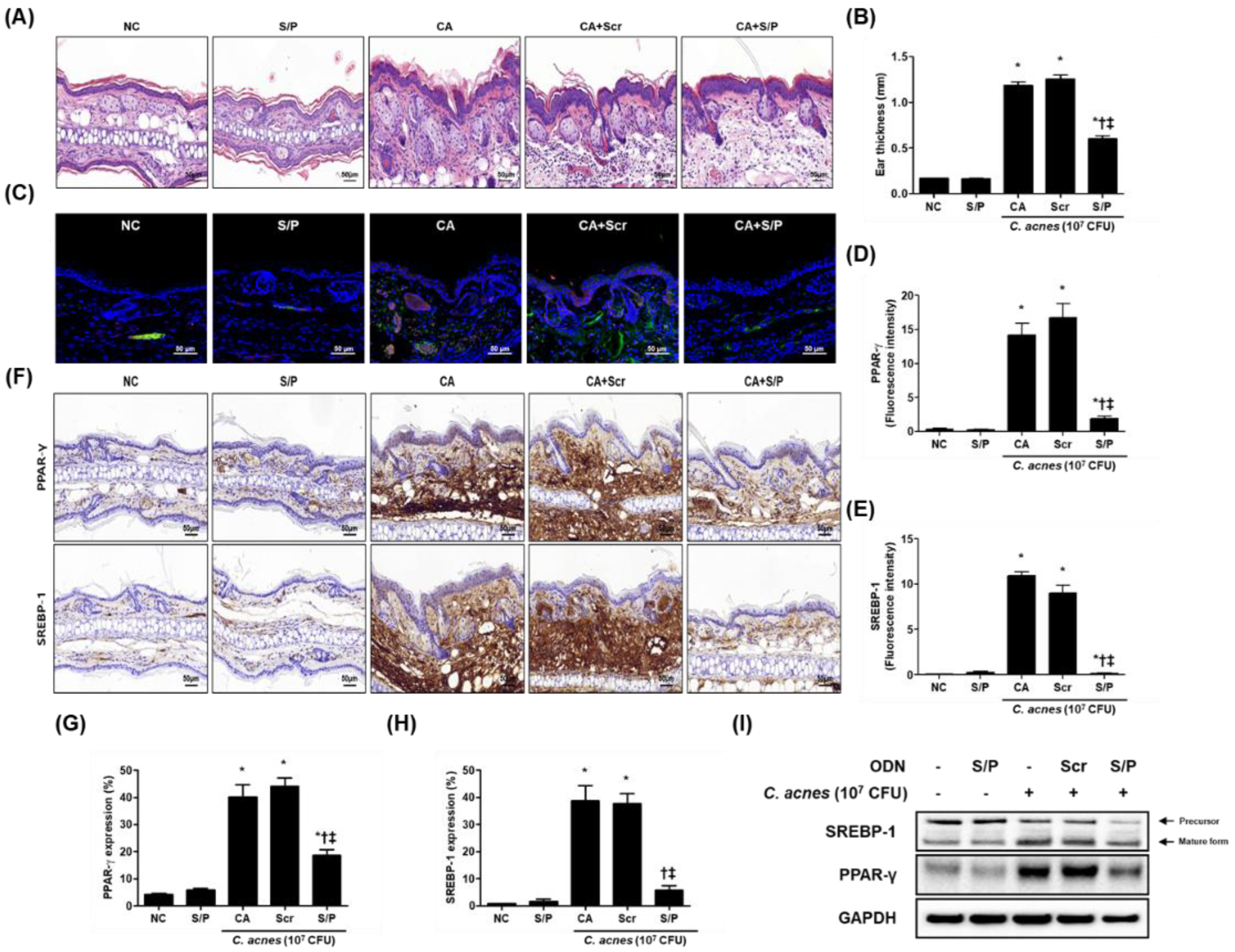 Biomolecules 12 01858 g002