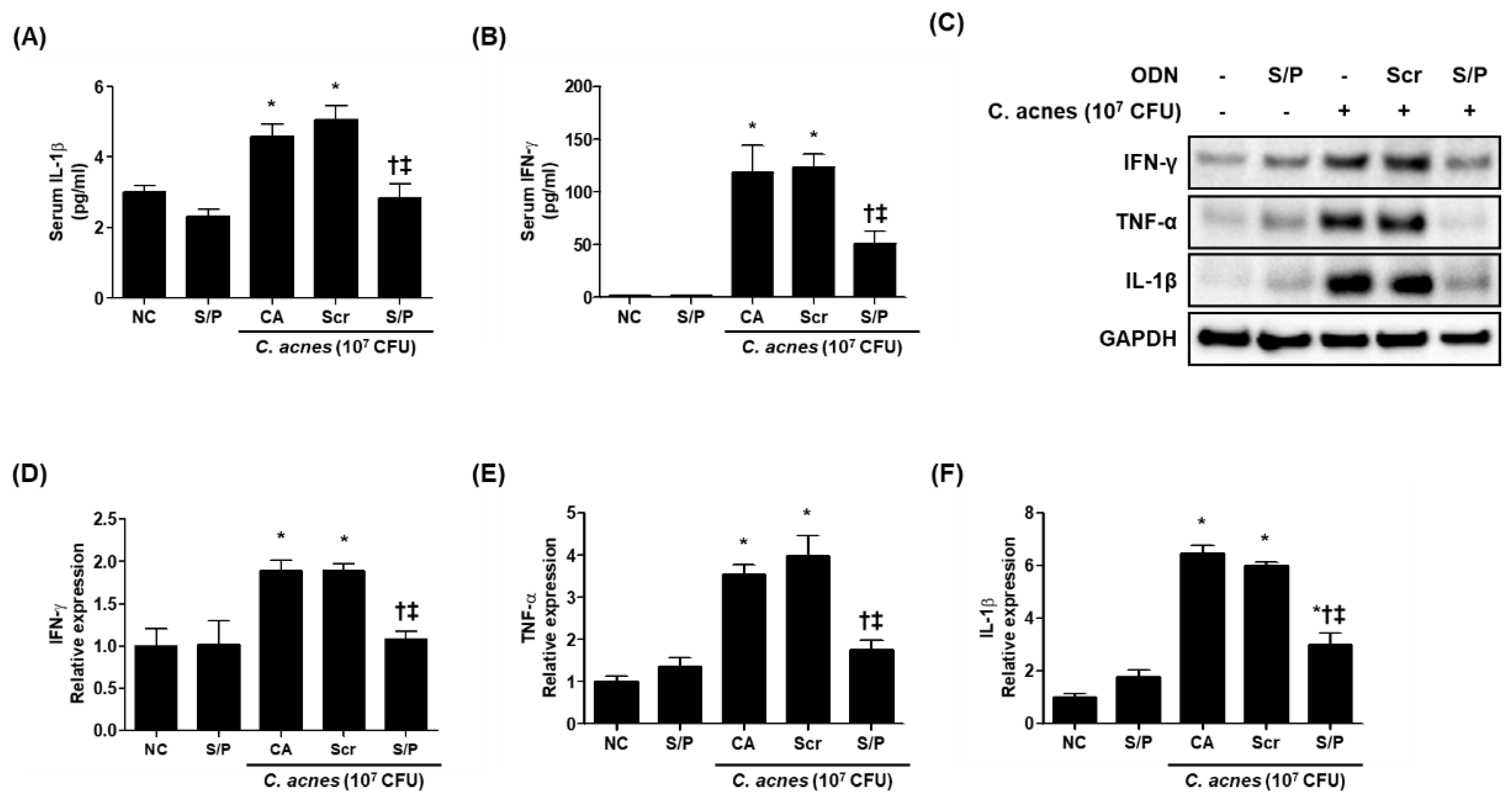 Biomolecules 12 01858 g004