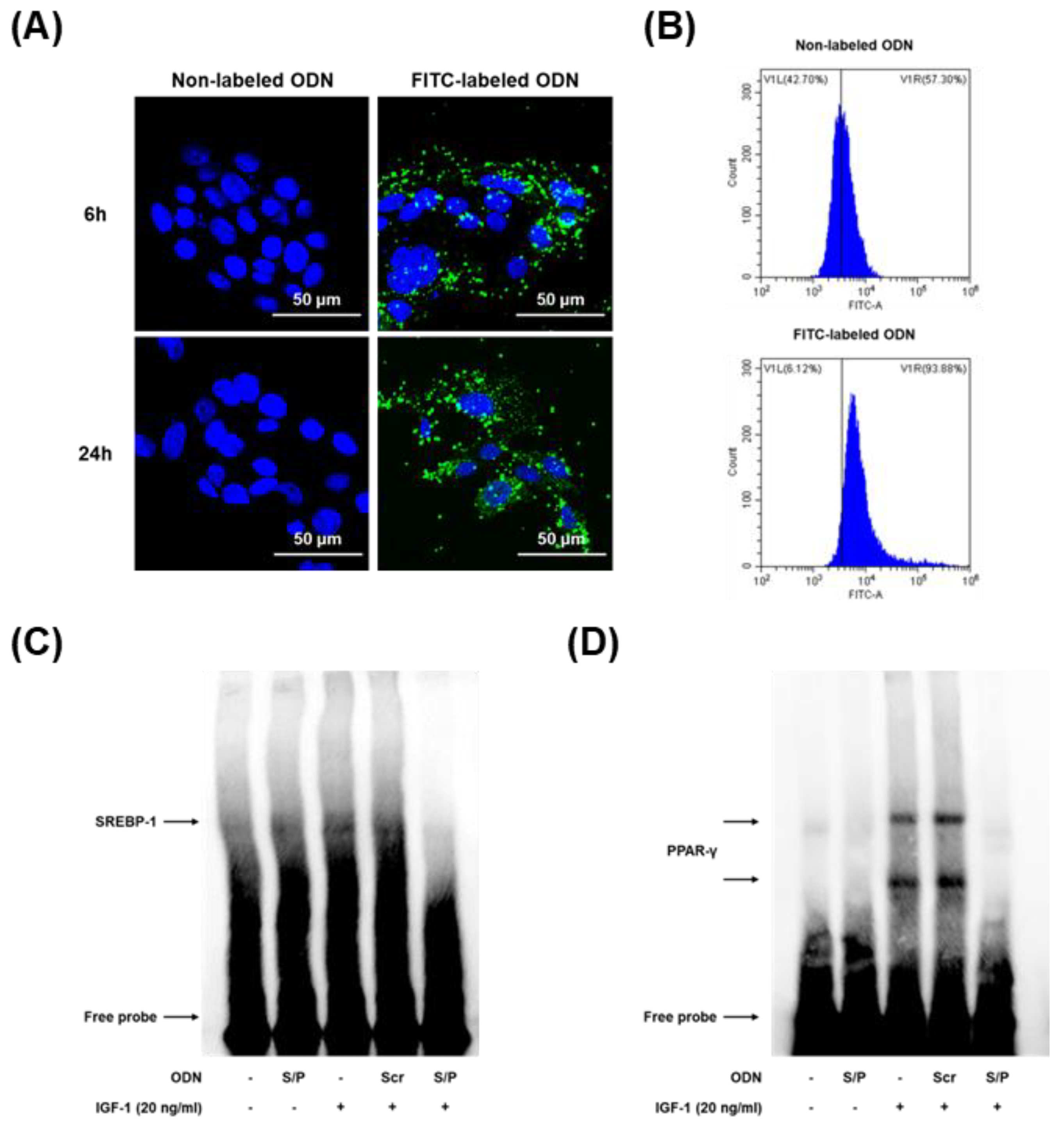 Biomolecules 12 01858 g005
