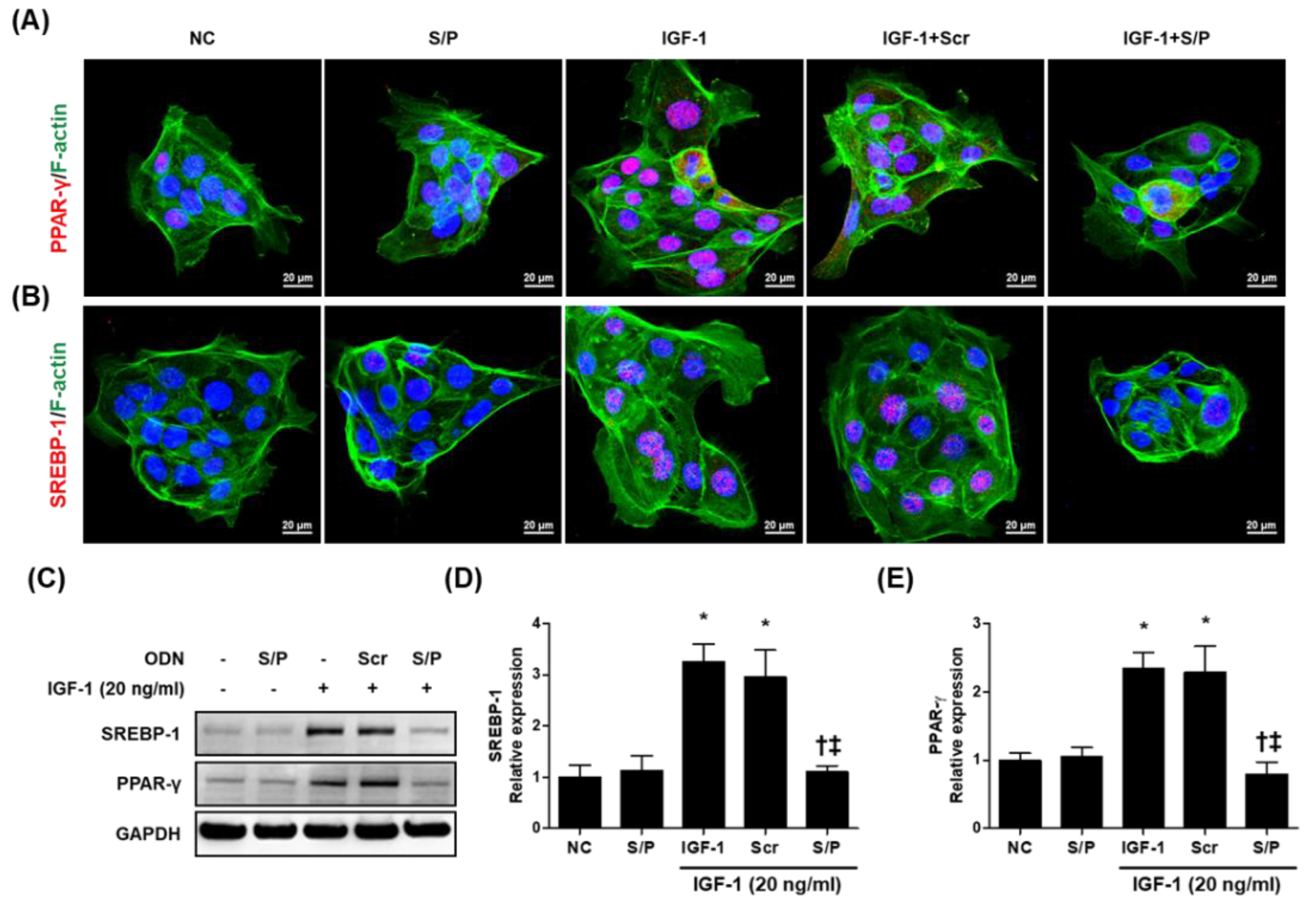 Biomolecules 12 01858 g006