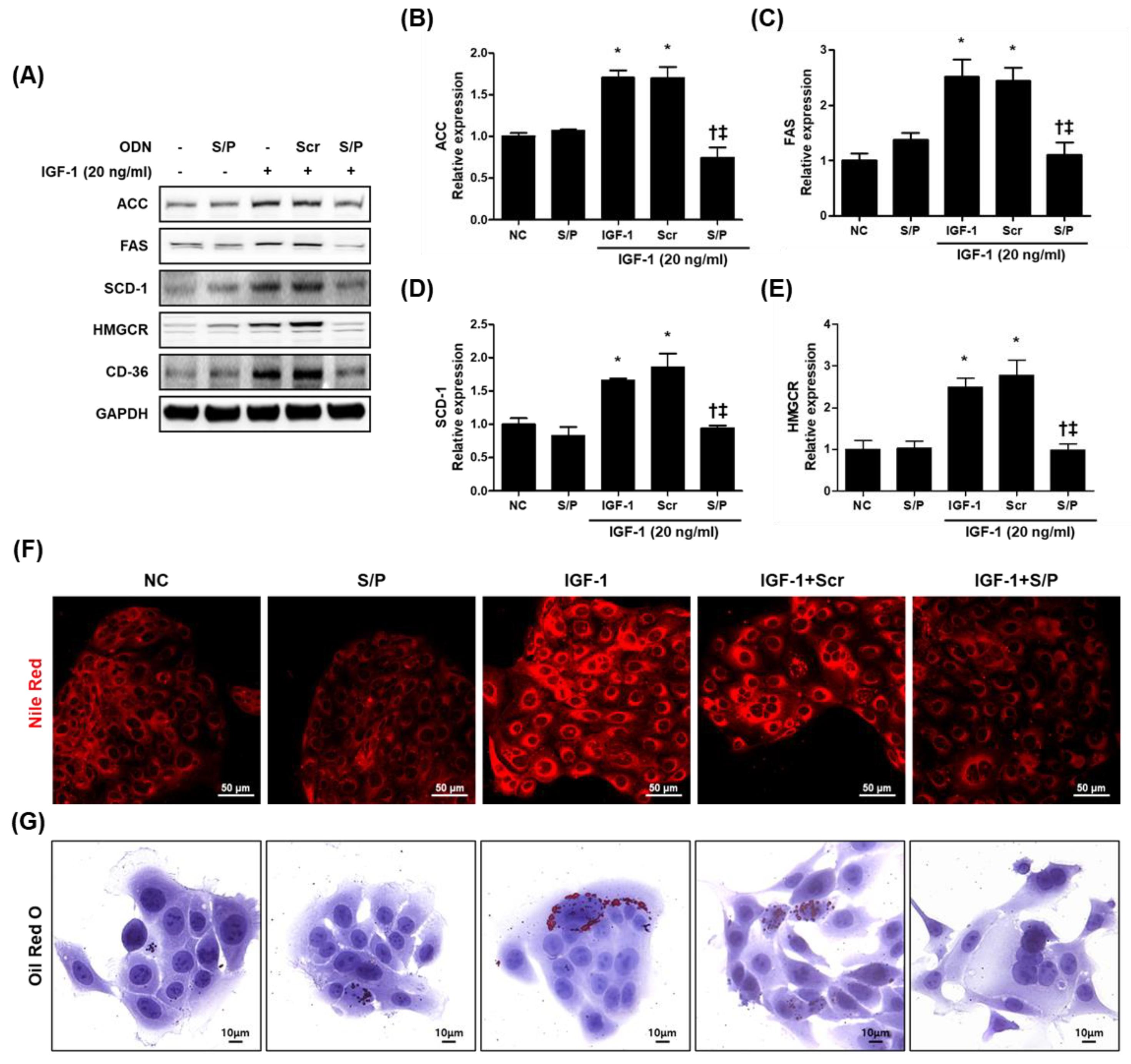 Biomolecules 12 01858 g007