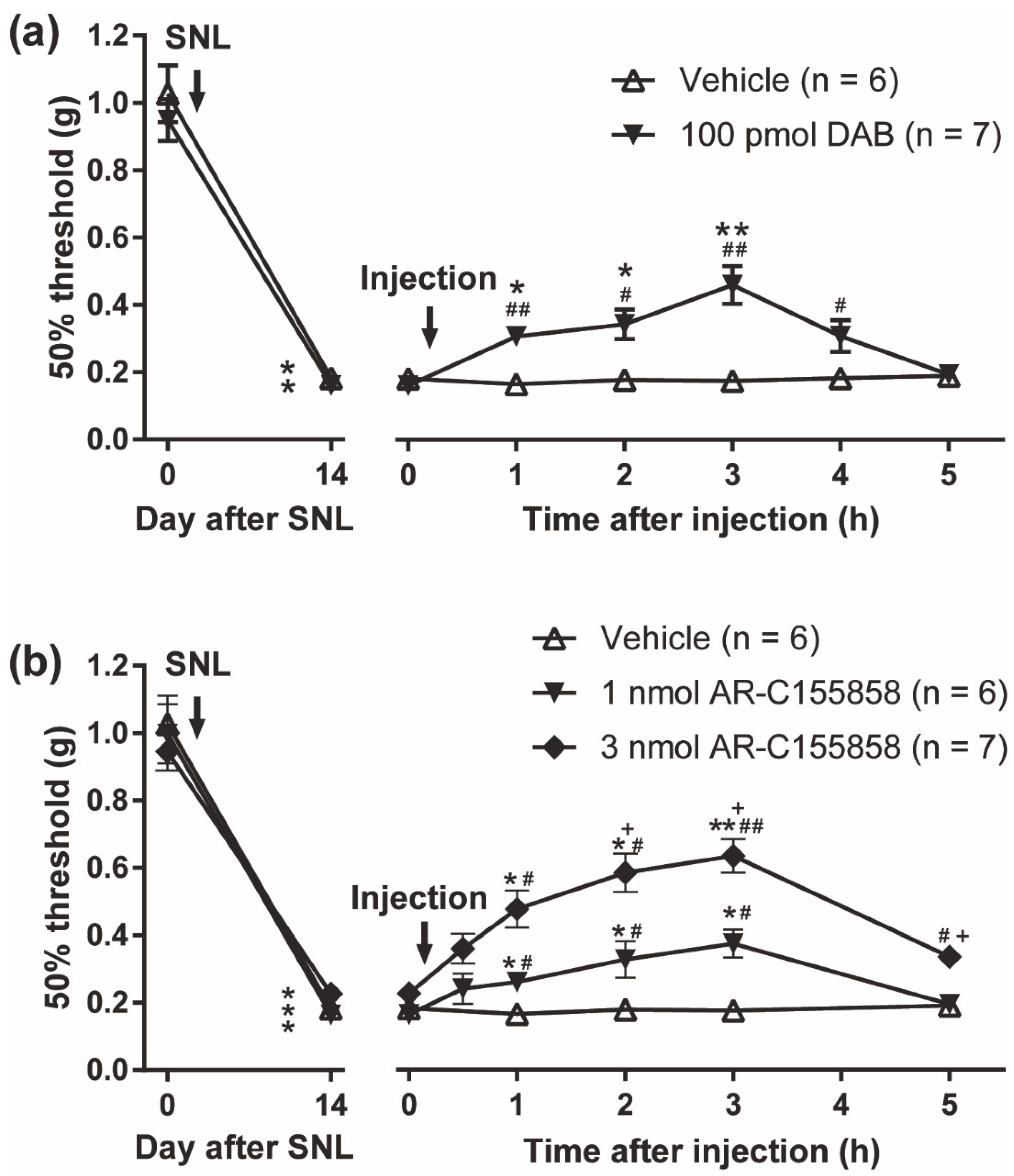 Biomolecules 12 01859 g007 Biomolecules 12 01859 g007