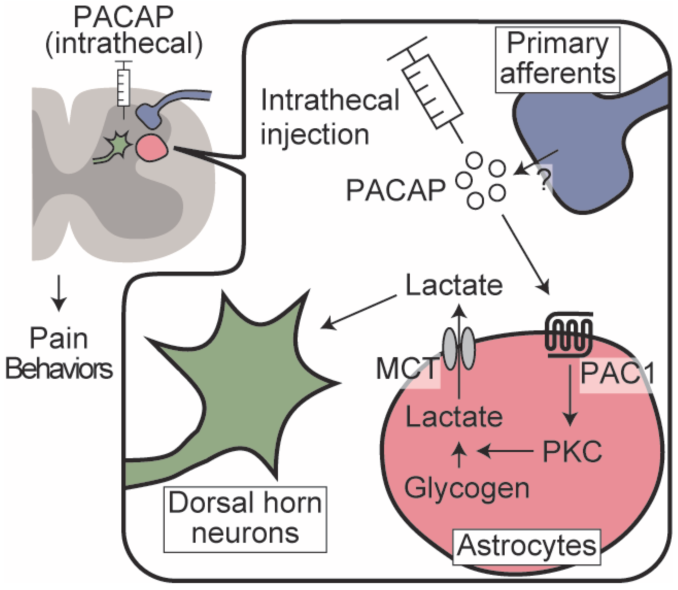 Biomolecules 12 01859 g008 Biomolecules 12 01859 g008