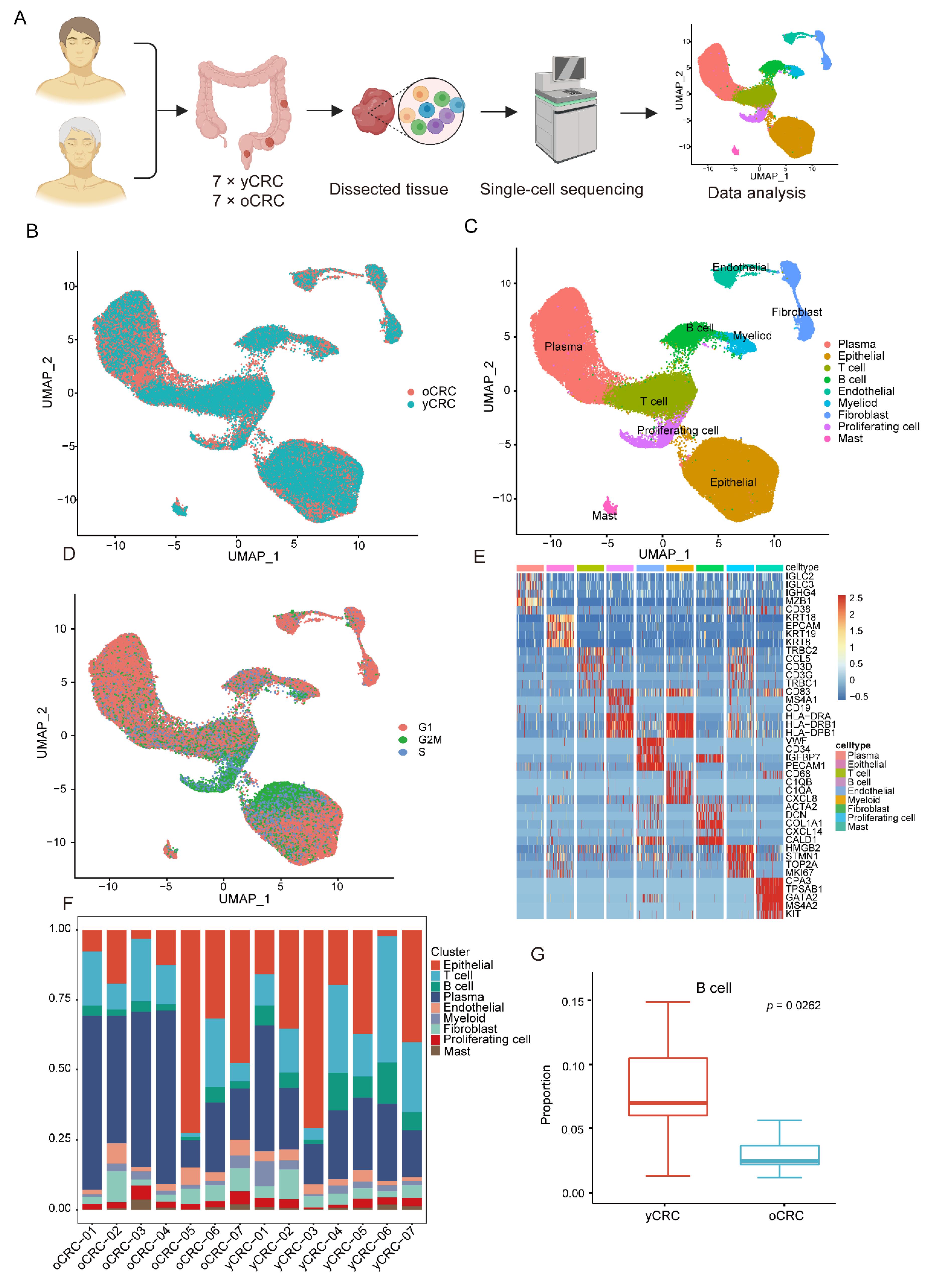 Cellular heterogeneity and immune microenvironment revealed by