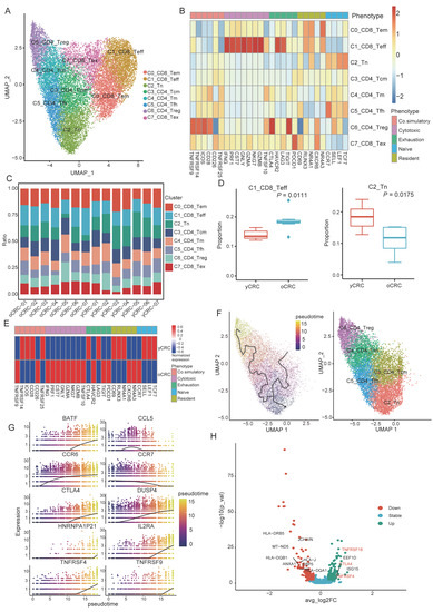 Single-Cell RNA Sequencing Reveals Heterogeneity in the