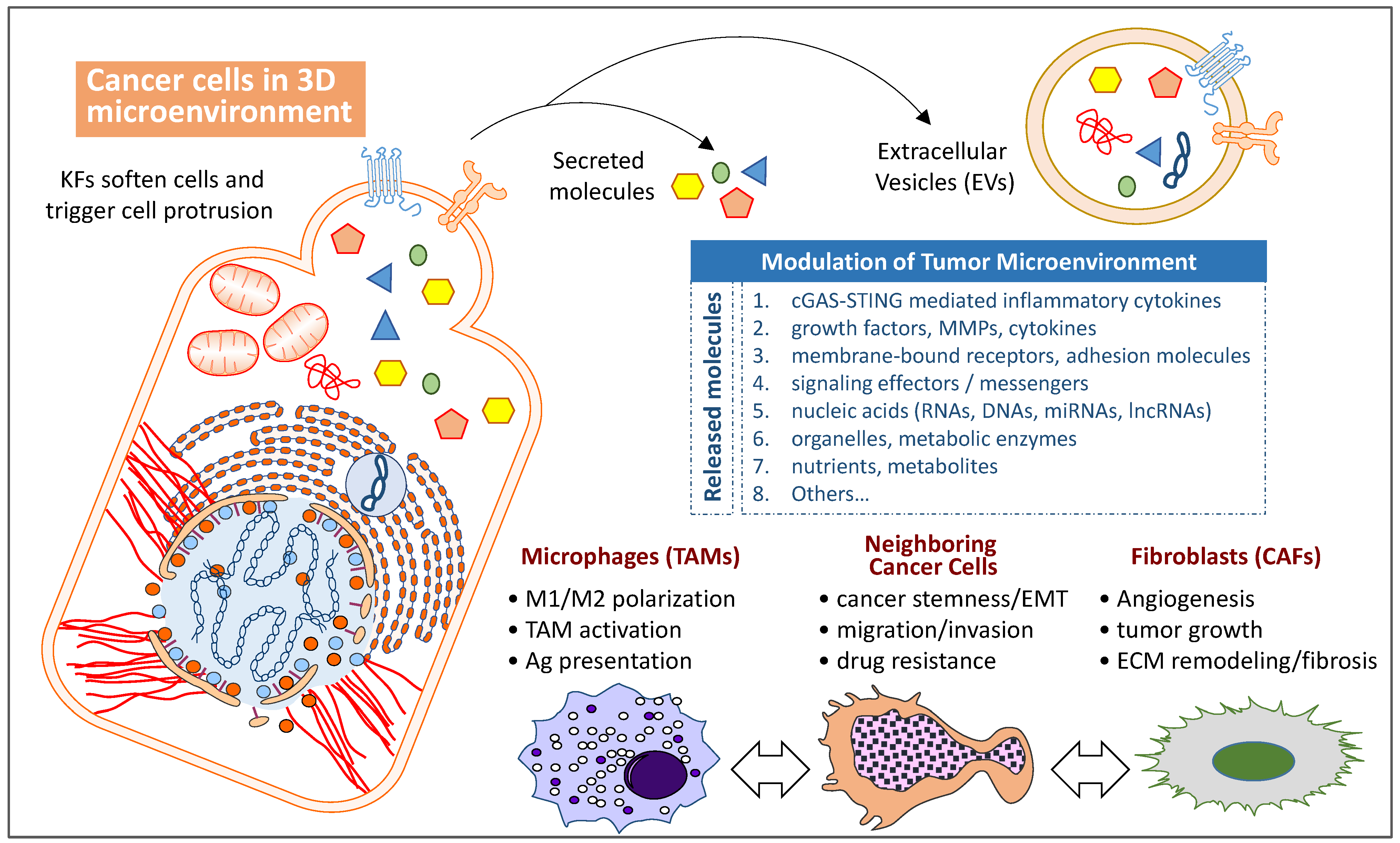 Biomolecules 12 01862 g003 Biomolecules 12 01862 g003