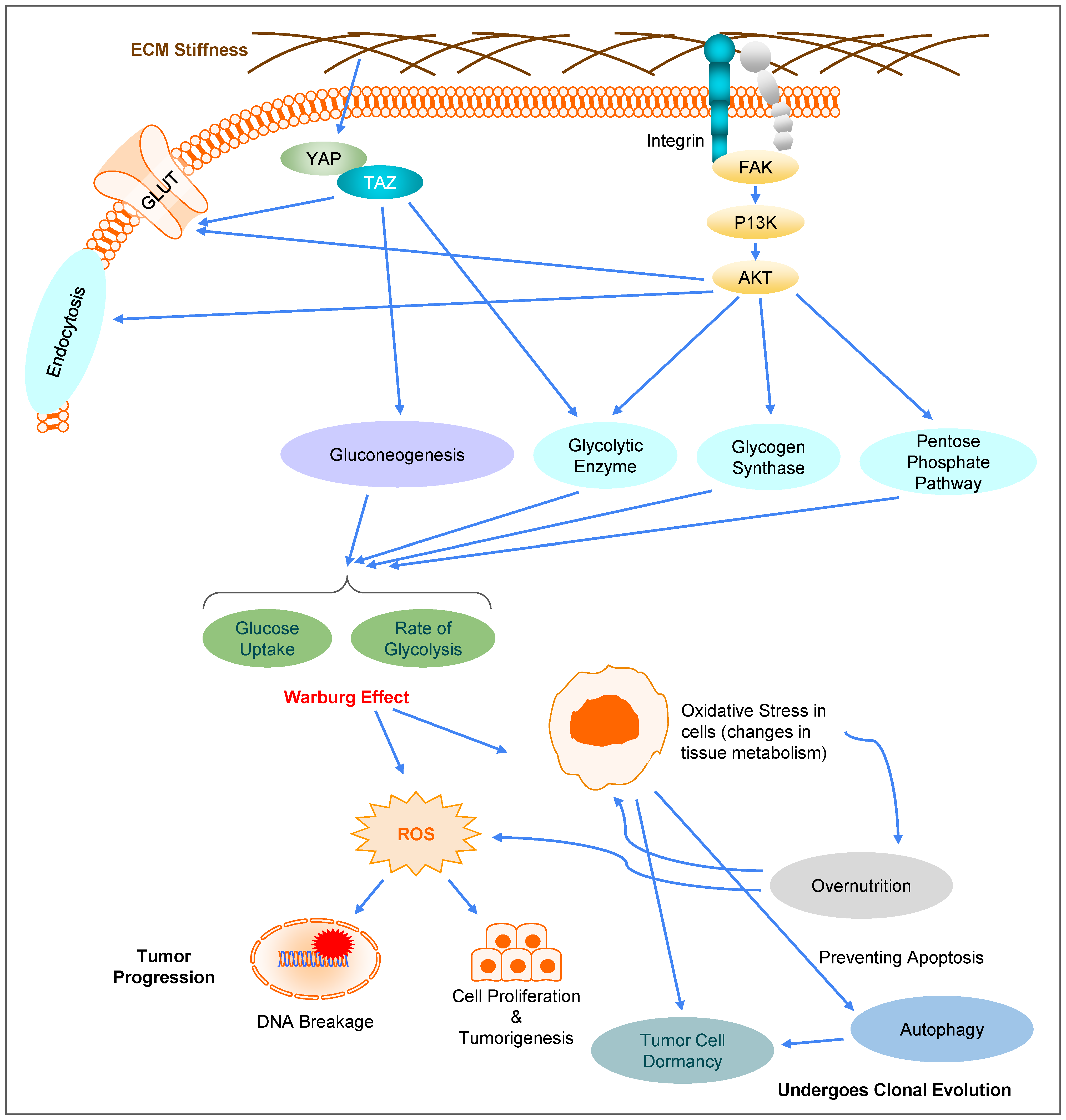 Biomolecules 12 01862 g004 Biomolecules 12 01862 g004