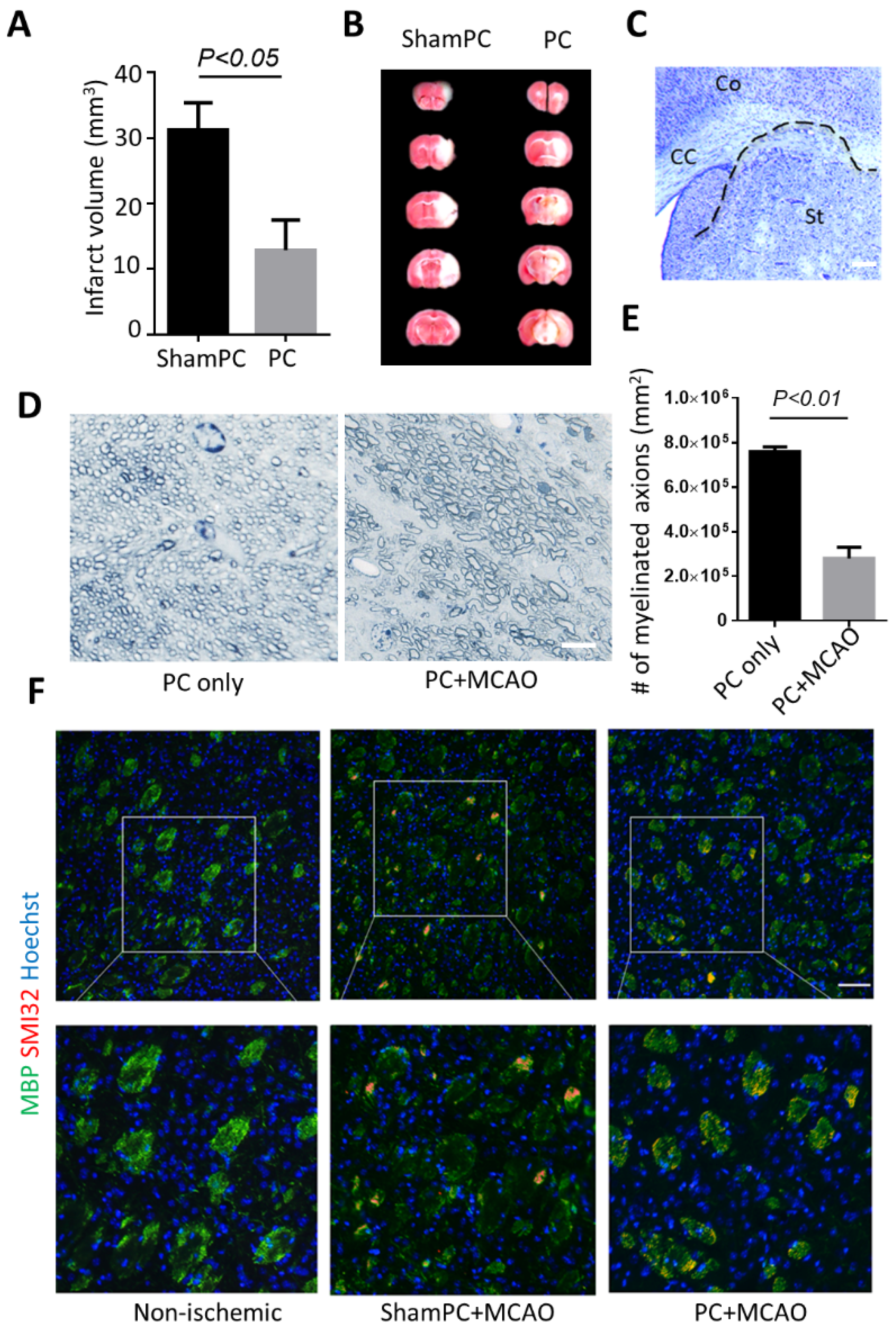 Biomolecules 12 01872 g001