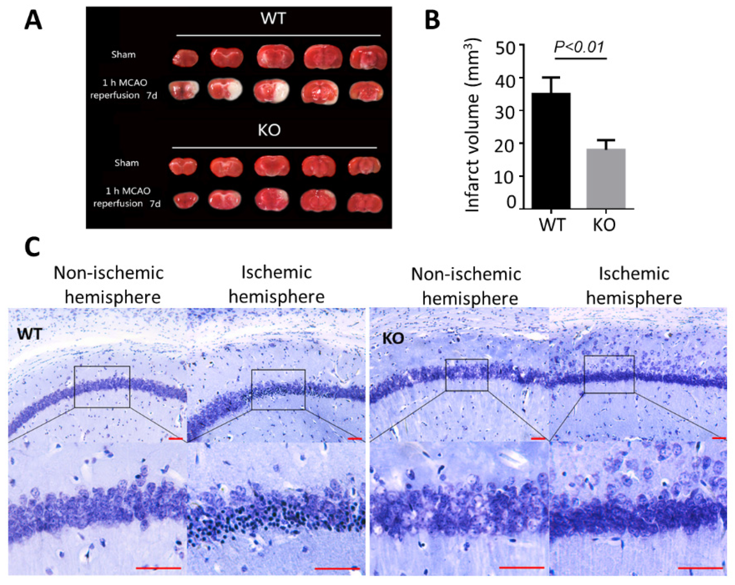 Biomolecules 12 01872 g002
