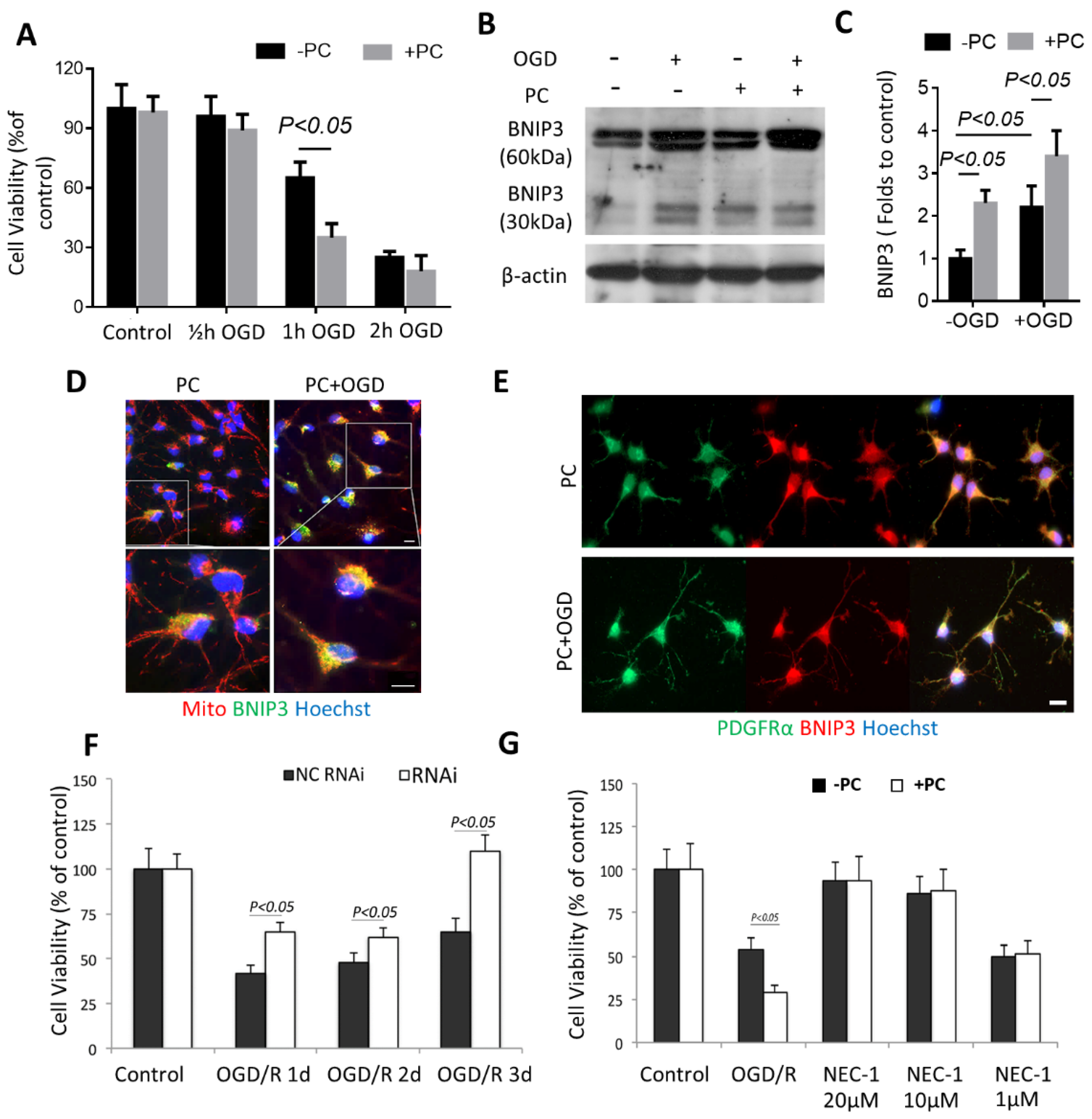 Biomolecules 12 01872 g005