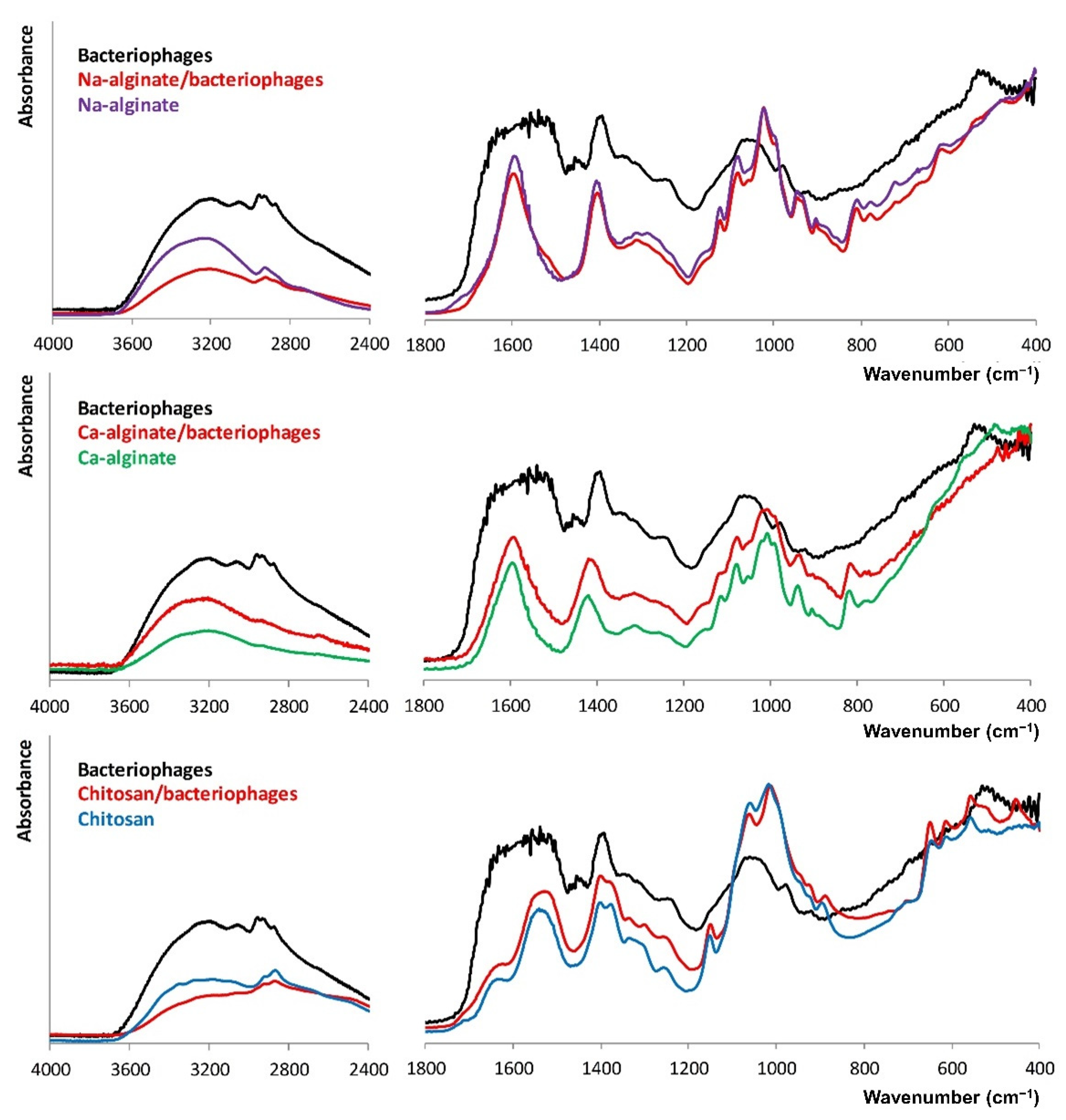 Biomolecules 12 01875 g003