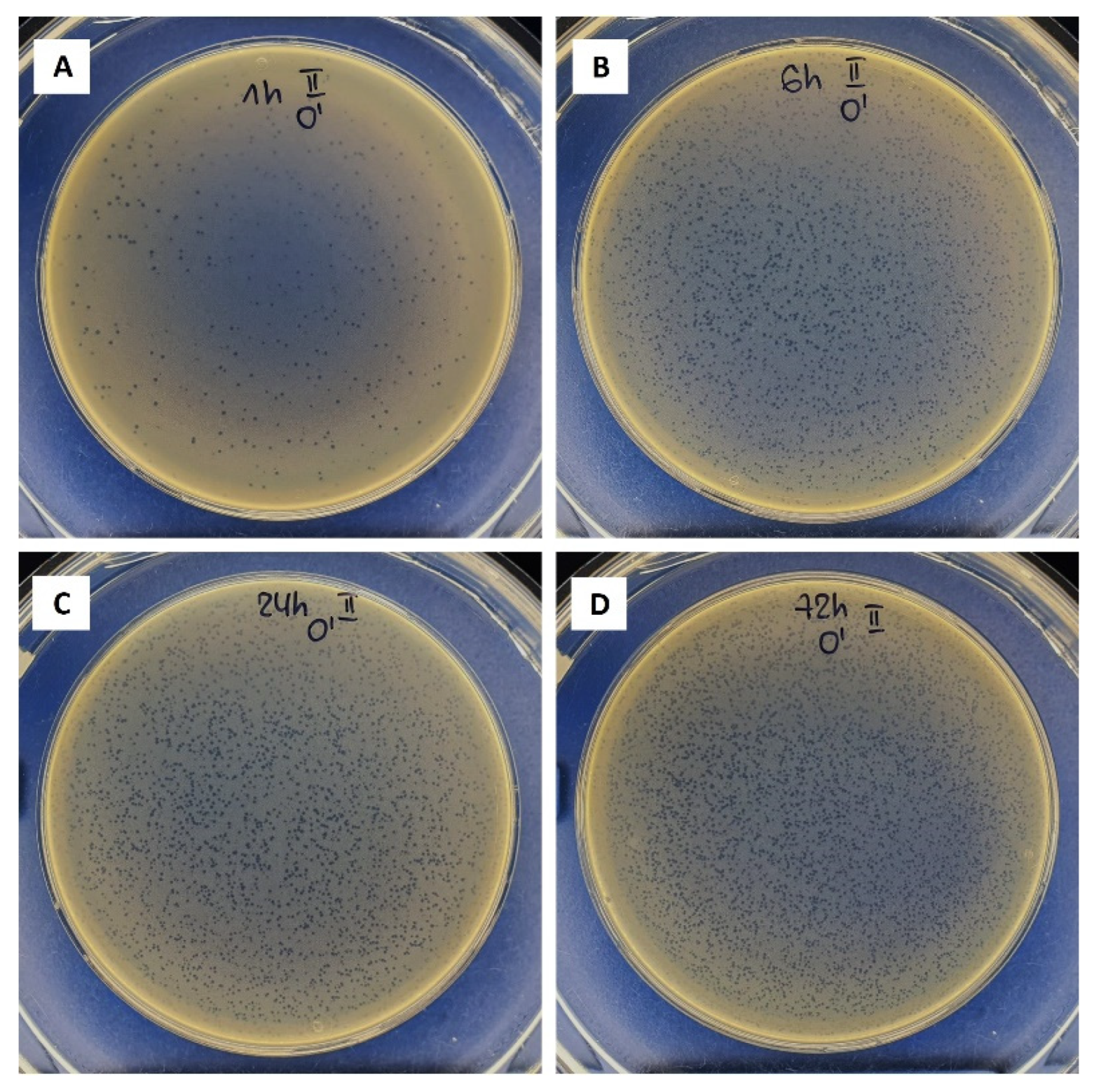 Biomolecules 12 01875 g006