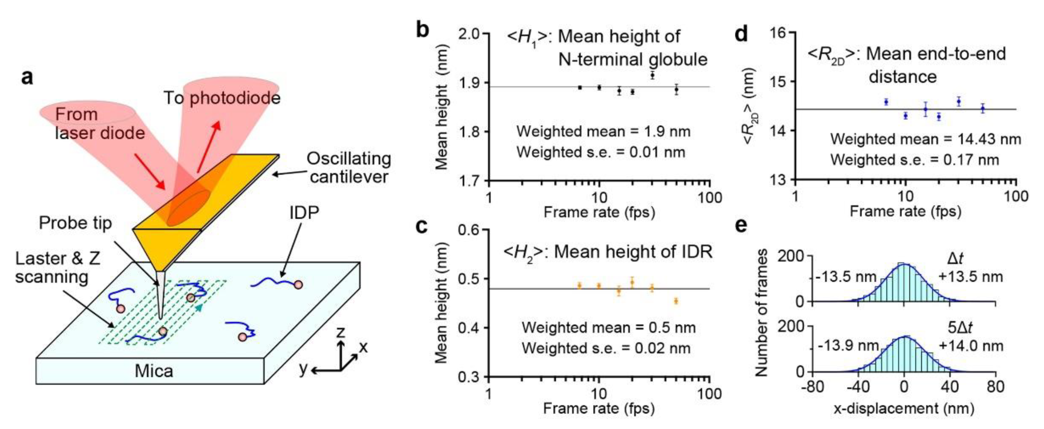 Biomolecules 12 01876 g001
